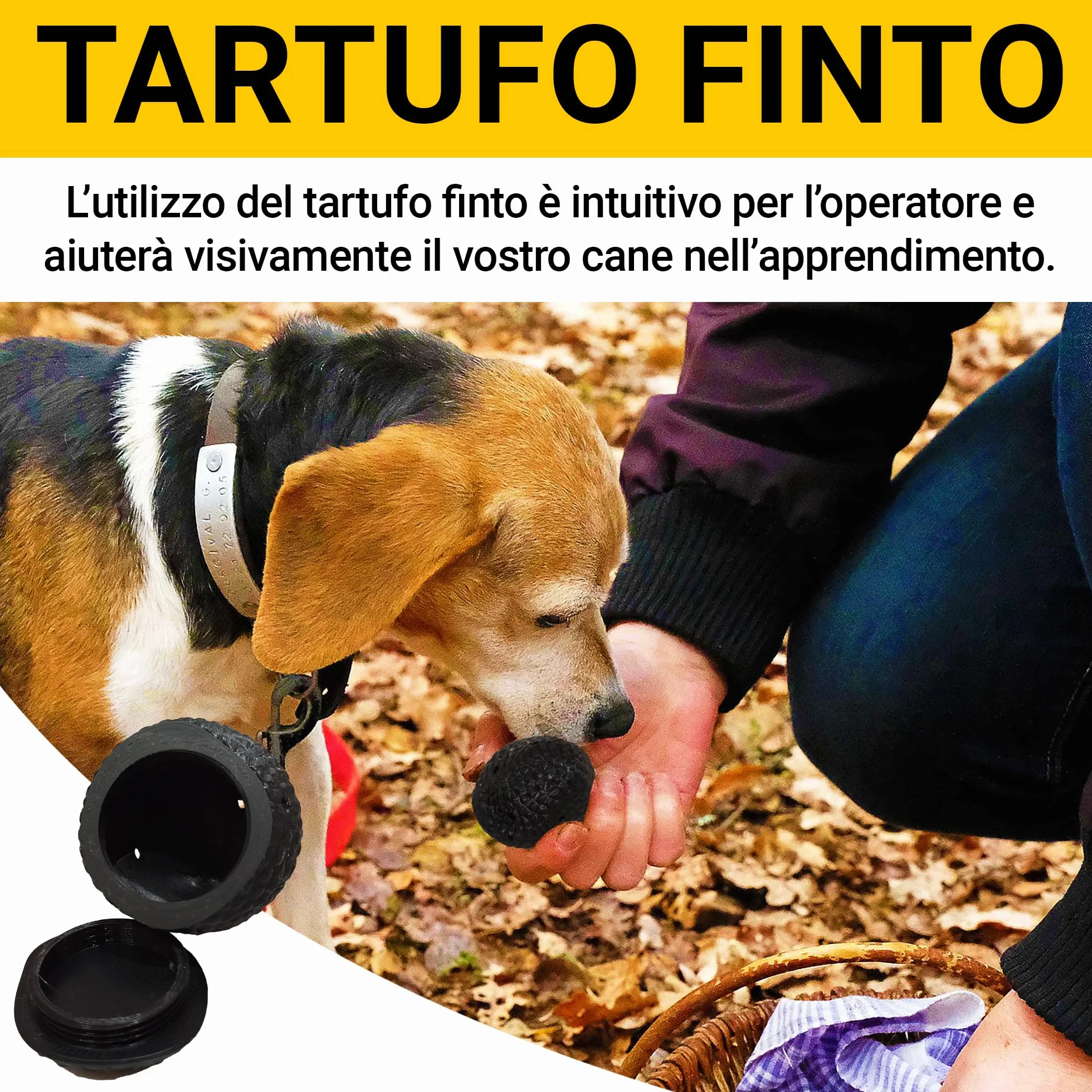 Kit Professionale con Finto Tartufo Nero Completo con Guida e Olio da addestramento Cani Tartufo addestramento Cane da Tartufo, Tartufo Sintetico ovetto per addestramento