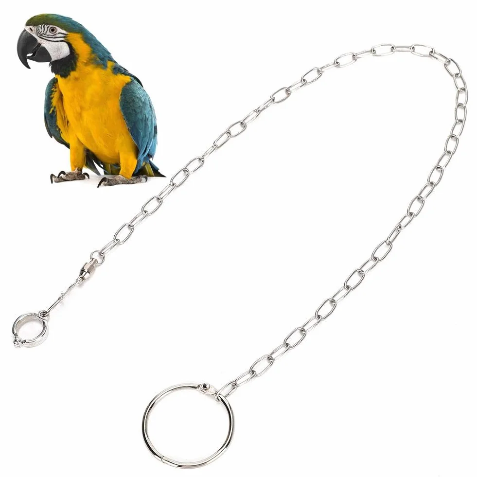 Catene per Piedi per Uccelli Accessori per Anelli per Caviglie in Acciaio Inossidabile Guinzaglio per pappagalli Pappagalli da Esterno Corda per addestramento al Volo Impedisci la Fuga