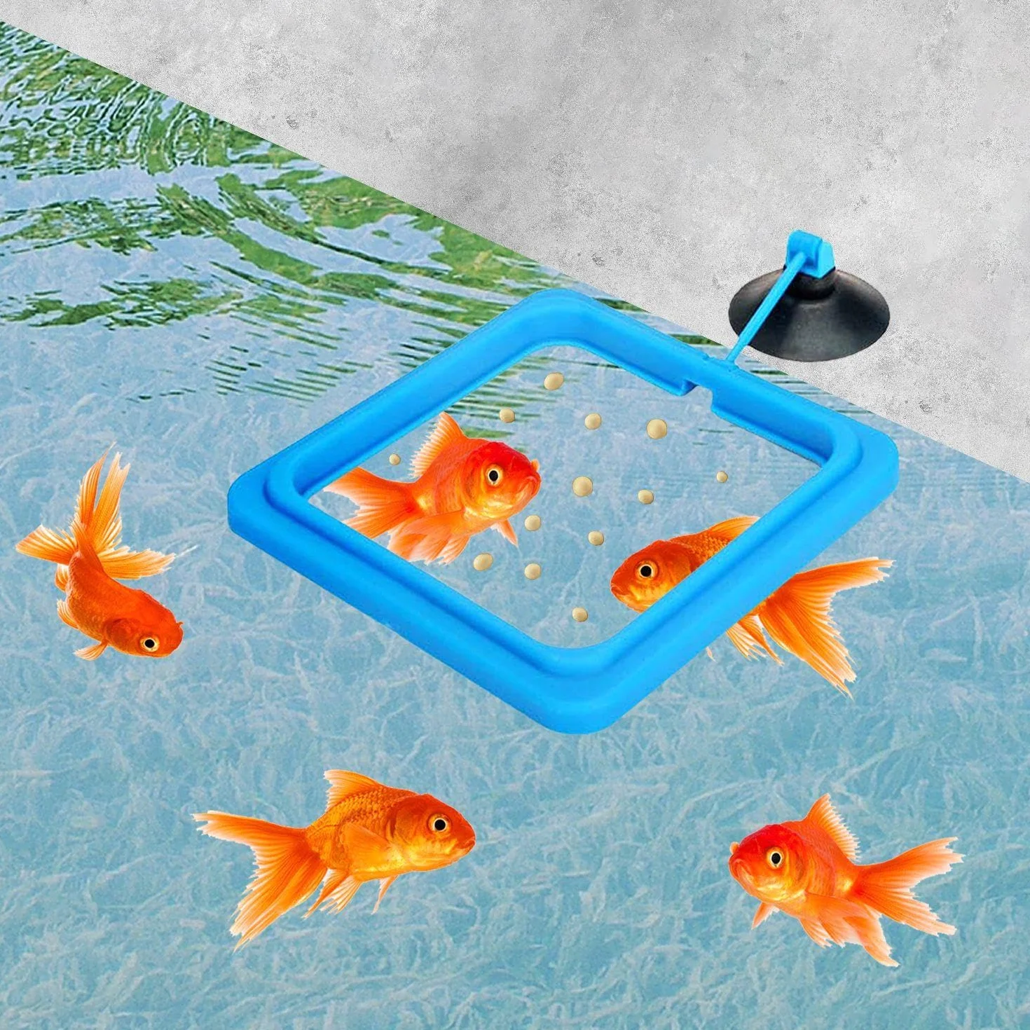 2 Anelli Per L'Alimentazione Del Cibo Per Pesci, 5 Anelli Per Piante Galleggianti, Anelli Per L'Alimentazione Dell'Acquario, Mangiatoia Per Acquario, Accessori Per Acquari, Mangiatoia Per Pesci