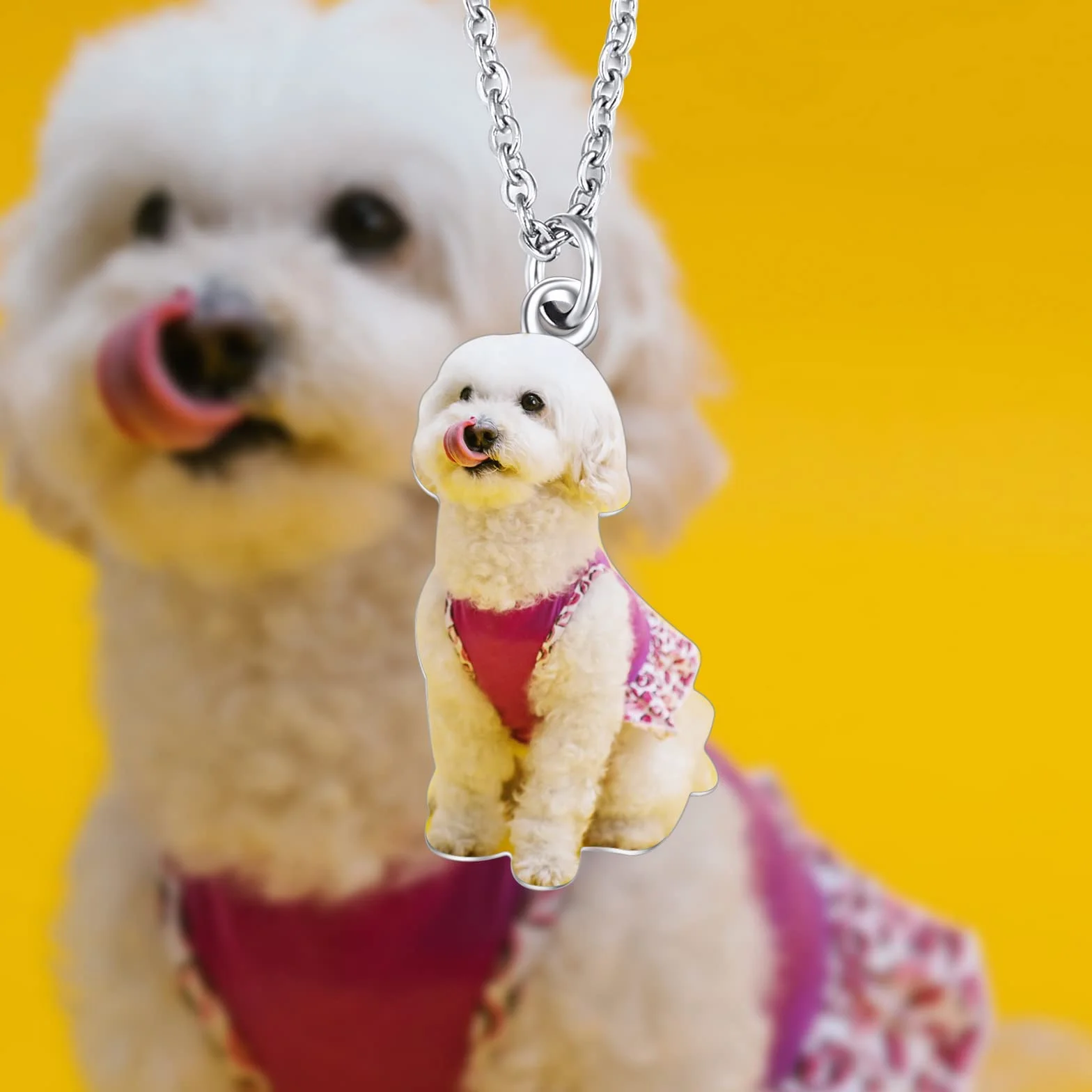 INBLUE Collana Personalizzata con Foto per Cani e Gatti Ciondolo a Forma di Cuore Regalo Commemorativo