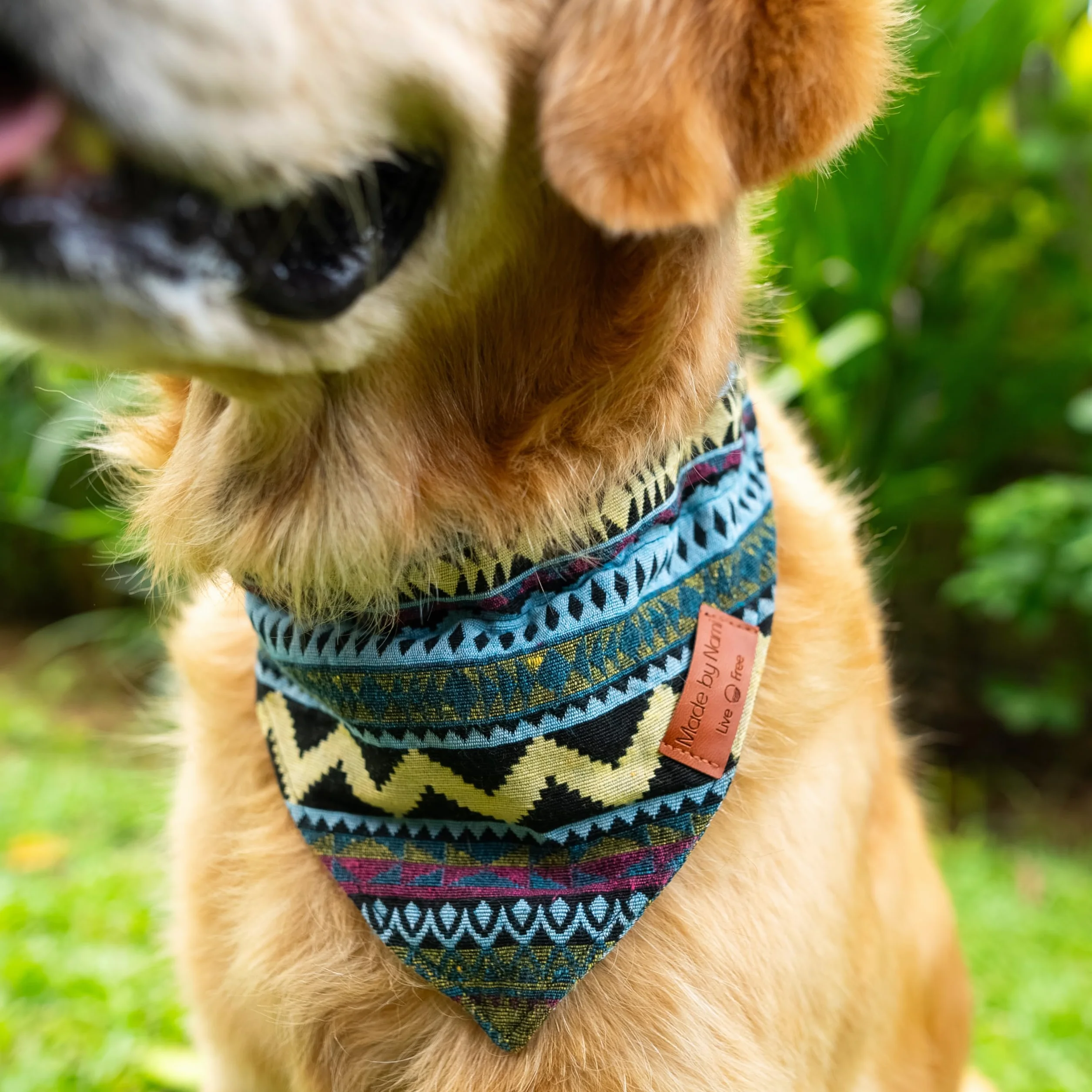 Nami Foulard per cani Boho varie dimensioni Blu M