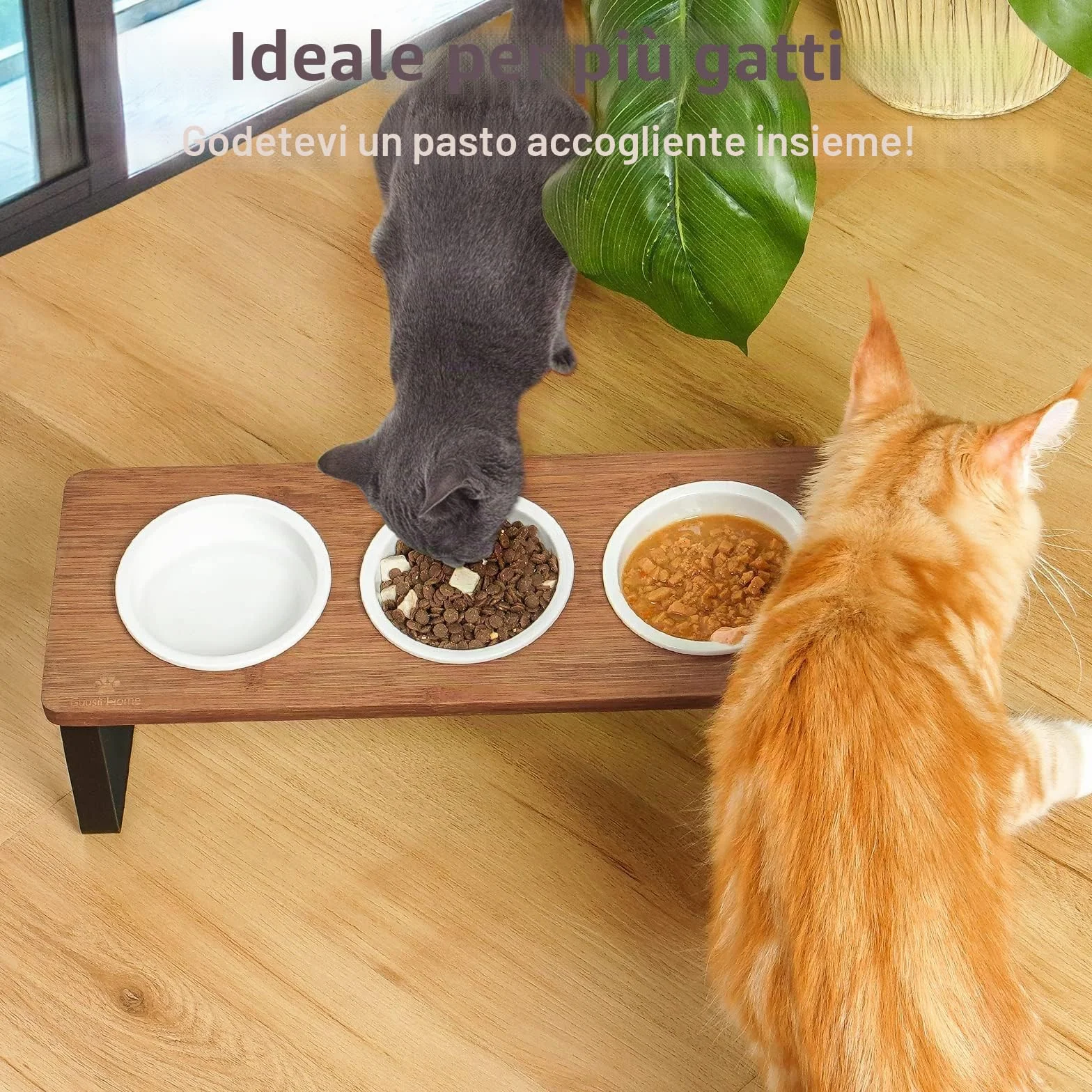 GUUSII HOME Ciotole per Gatti Rialzate 3 in 1 Ciotola Gatto Legno Ceramica 15° Inclinate Set di 3 Ciotole per Alimenti Ø12cm con Supporto in Bambù Inclinato Antiribaltamento
