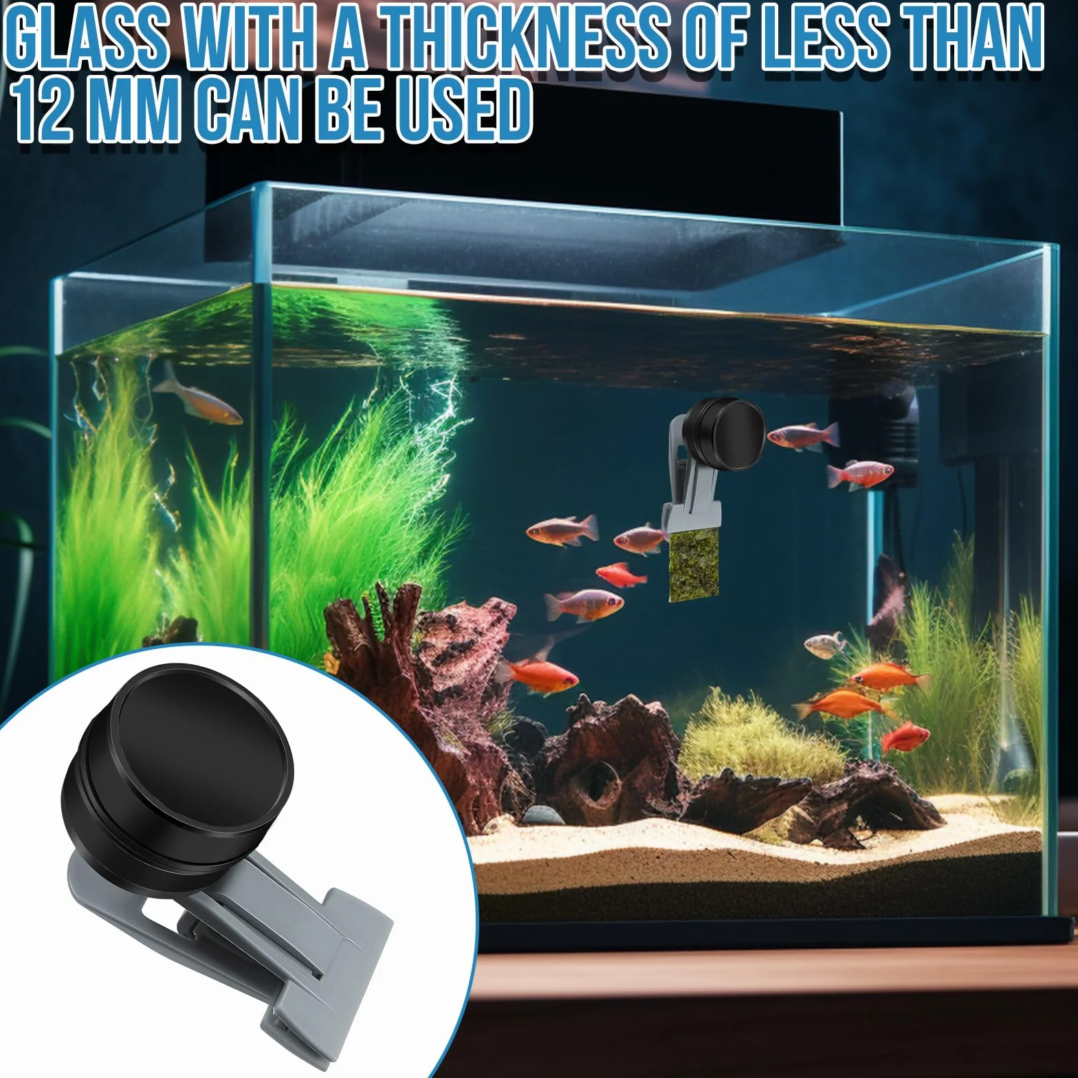 Mangiatoia per pesci rossi, accessori per acquari marini, magnete per alghe, mangiatoia per alghe marine, clip magnetiche, anello di alimentazione per acquari adatto per pesce animali acquatici