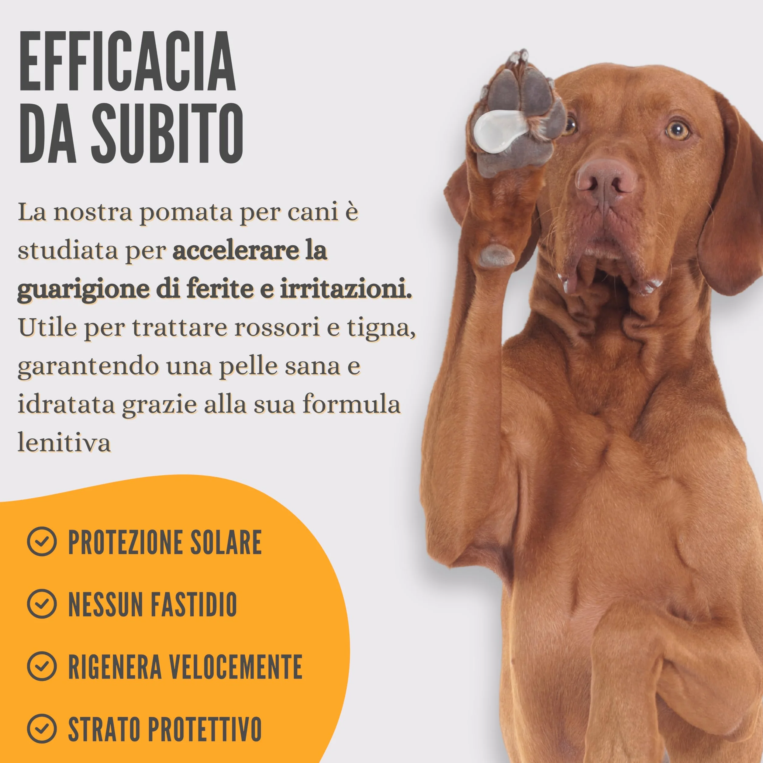 LexyFriend Crema Polpastrelli Cane Gatto Cicatrizzante Pomata Protezione Zampe 150ML