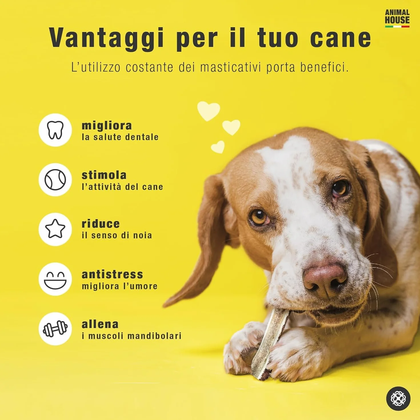 Corna di Cervo Premium per Cani Sezionate 100% Naturali Resistenti XS