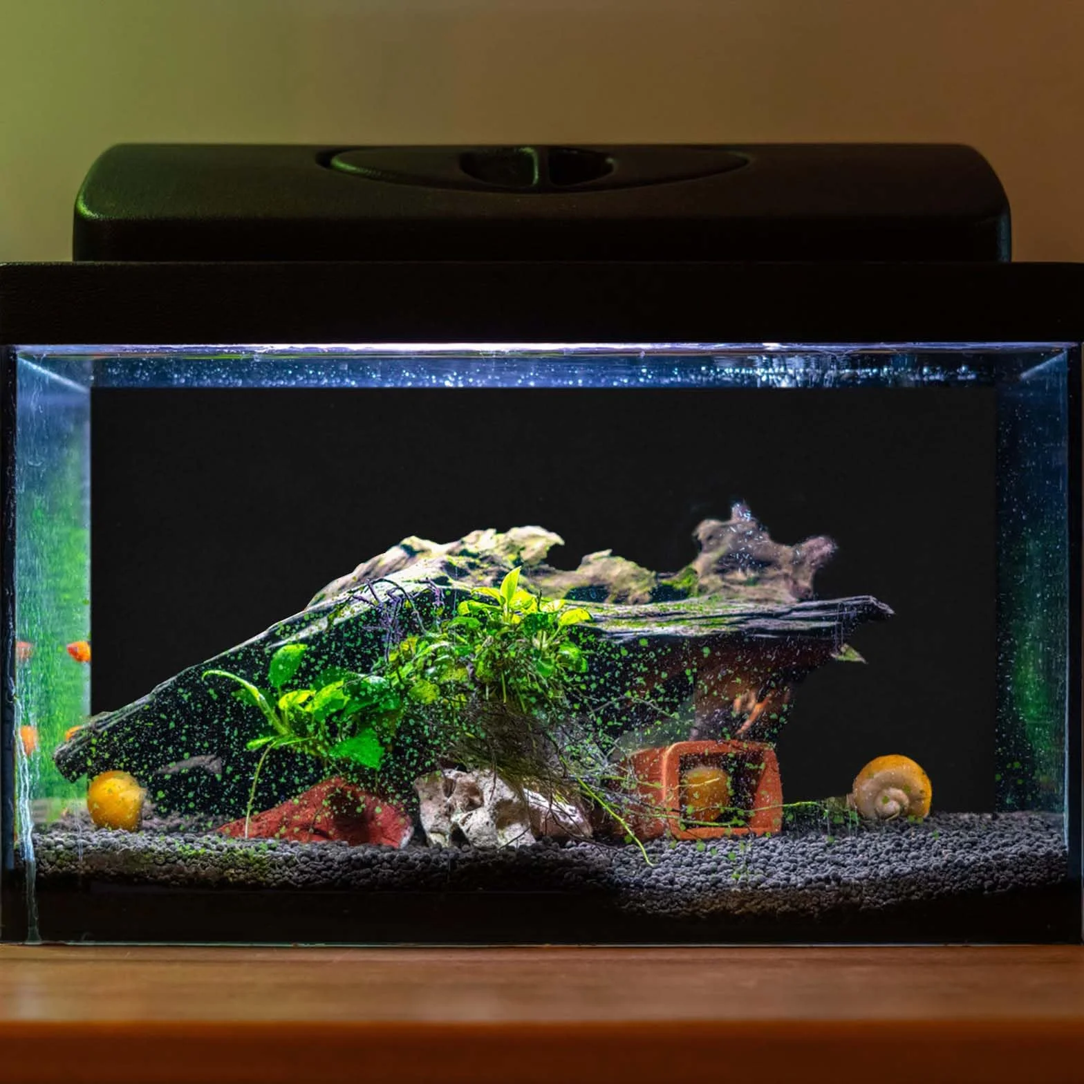 lasuroa Sfondo per Acquario, 40x100 cm Sfondo per Acquario Nero Sfondo per Acquario Statico Sfondo per Acquario Statico