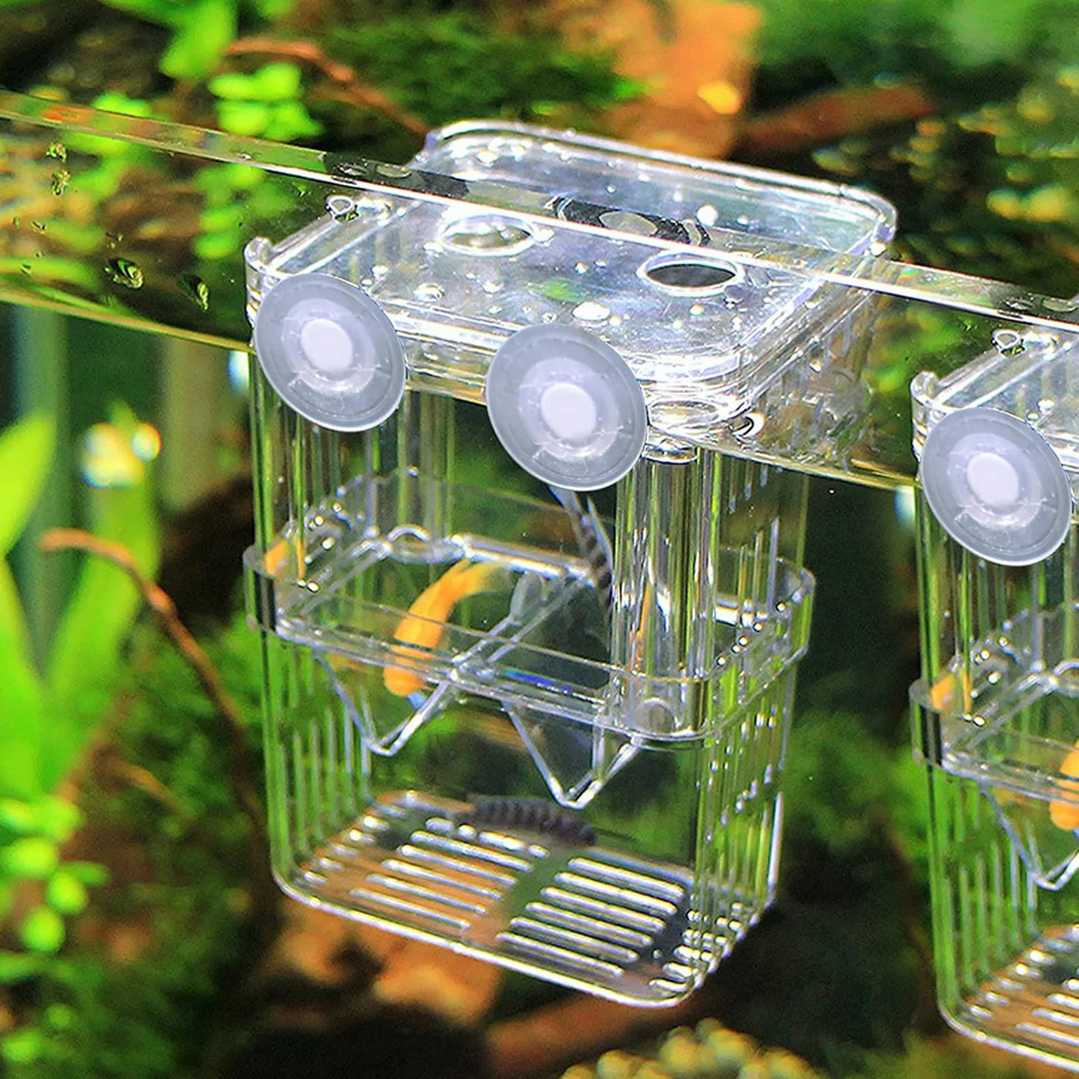 Scatola per Allevamento di Pesci,Guador 2 Pezzi Scatola di Isolamento per Allevamento Acquario Guppy Doppio Allevamento Allevatore Trappola Box Cova Contenitore Acquario Multifunzionale (2 pezzo L)