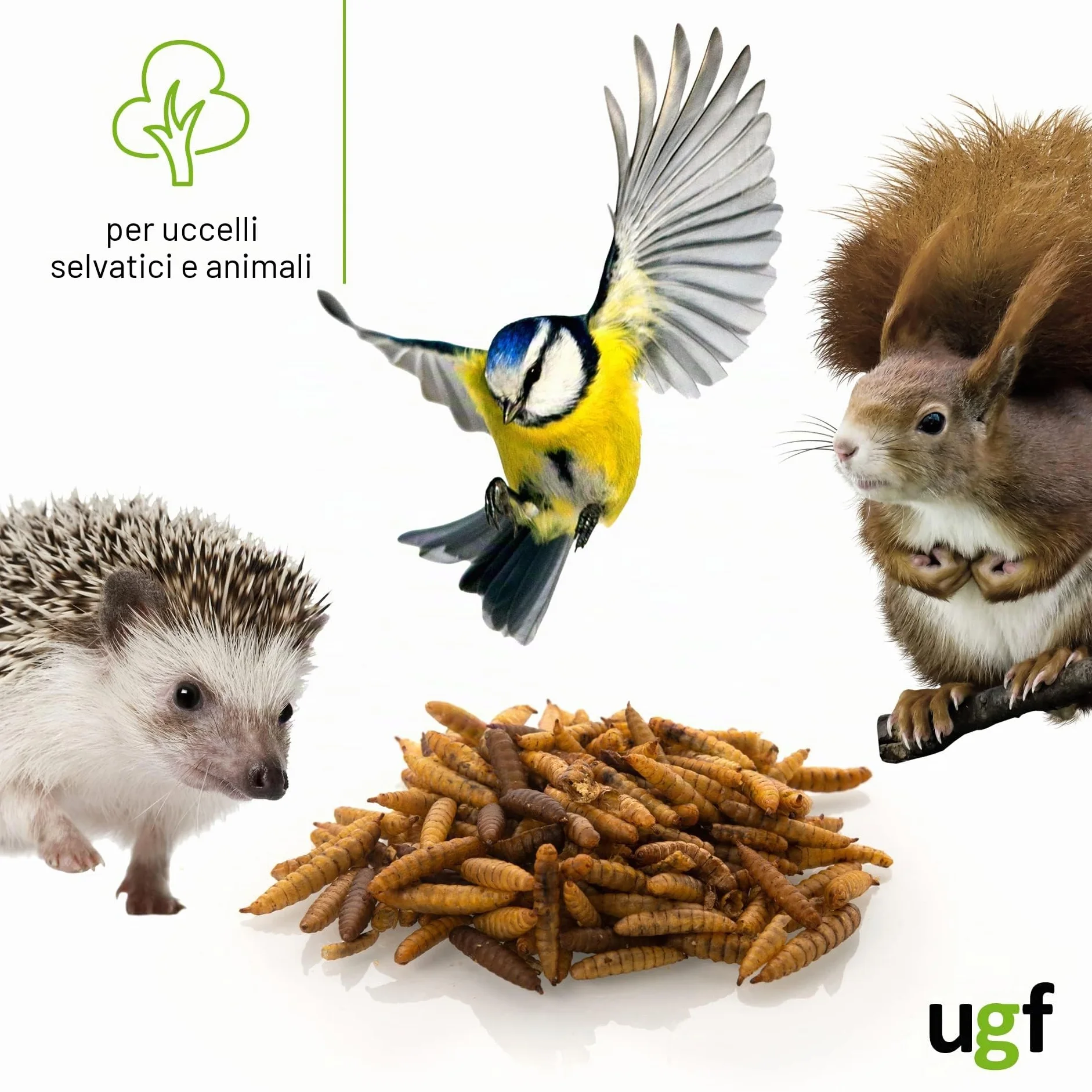 UGF Hermetia Meglio dei vermi secchi della farina 1 kg 85 volte più calcio bocconcini BSFL per uccelli selvatici tartarughe ratti ricci larve di soldati essiccati