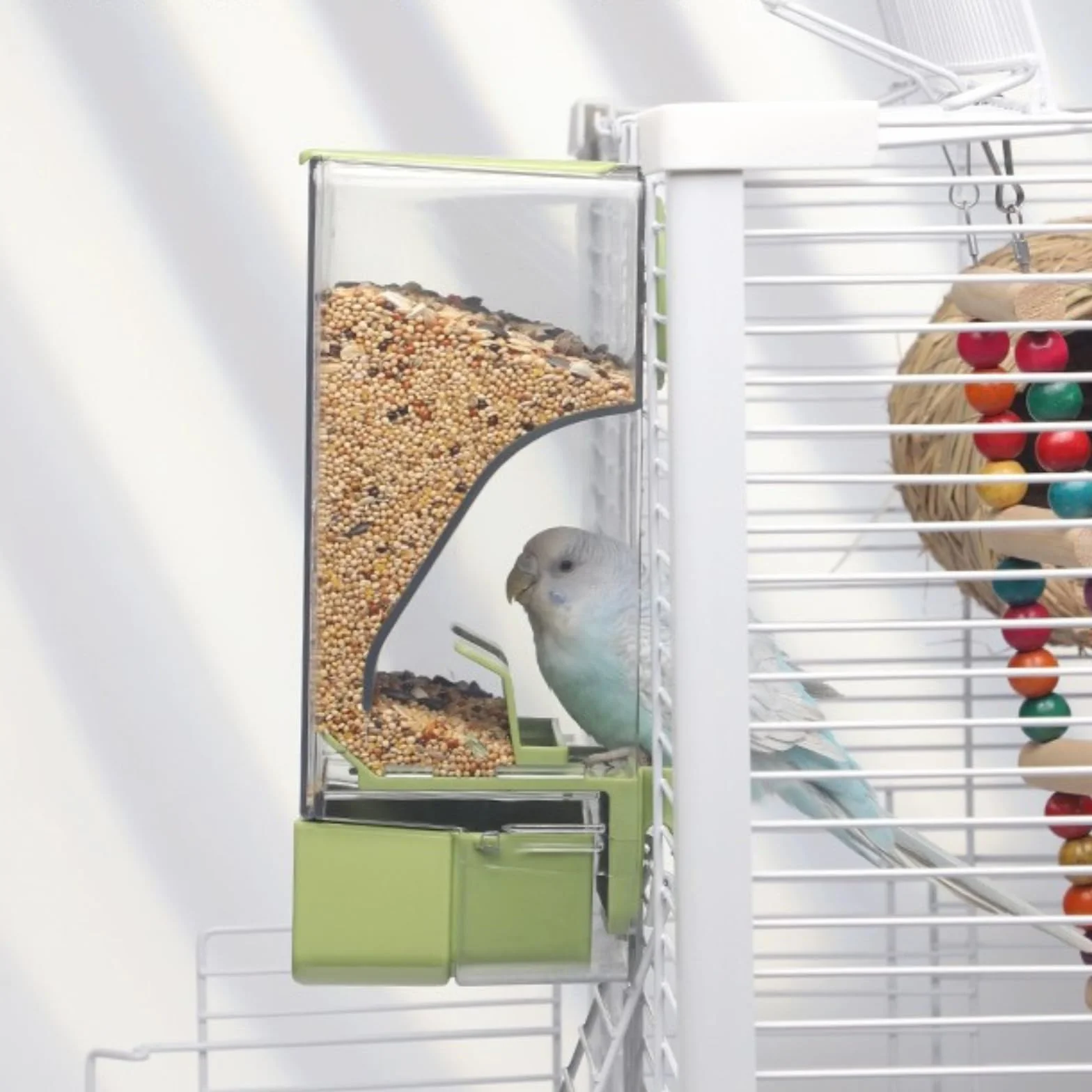 Mangiatoia automatica per uccelli, mangiatoia per gabbia per uccelli con trespolo per parrocchetto canarino calopsitta fringuello (Verde)