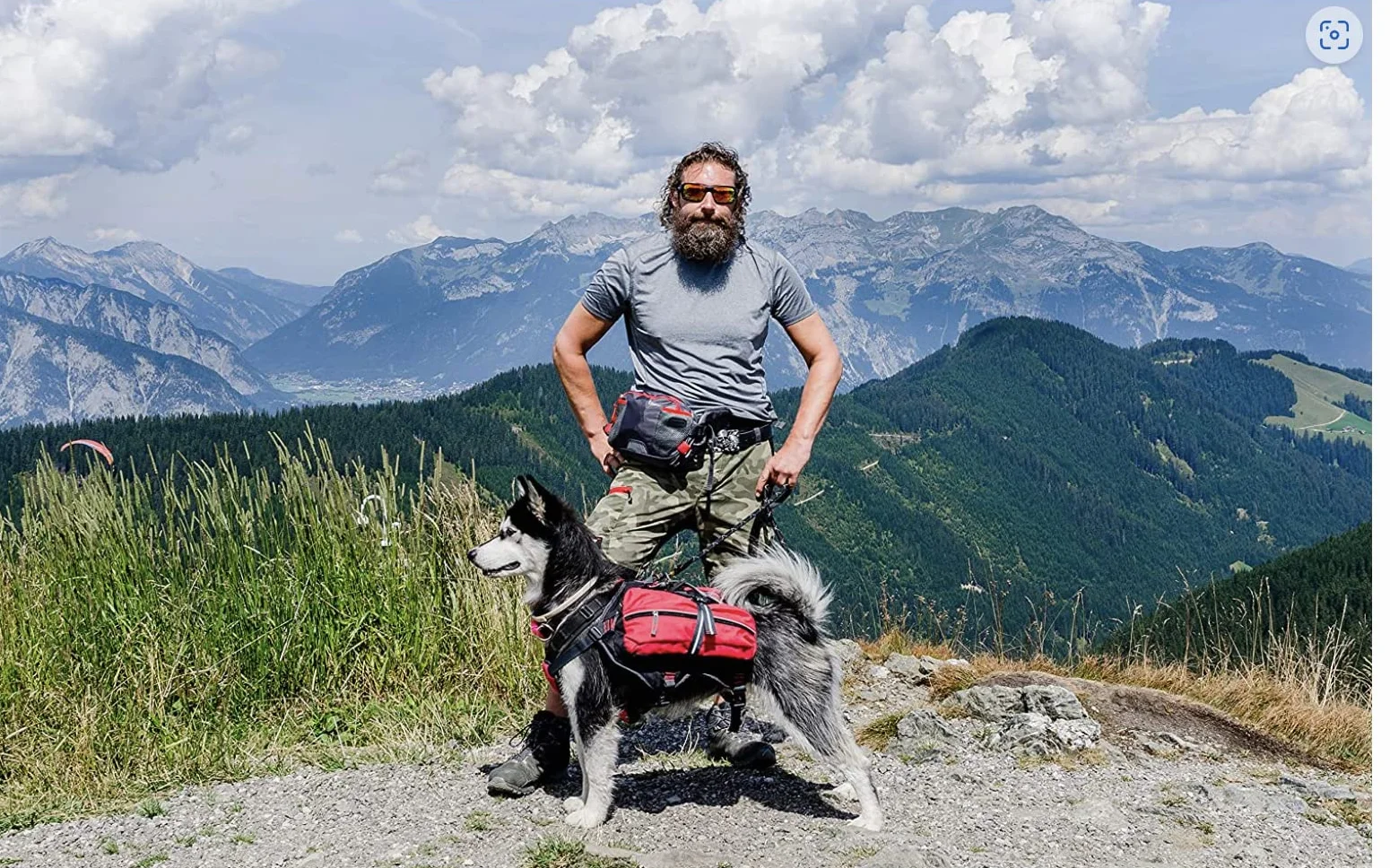 iEnergy Cintura in vita PAT per proprietari di cani - Marsupio resistente per passeggiate con il cane, Rosso/Grigio, 1 conteggio (confezione da 1)