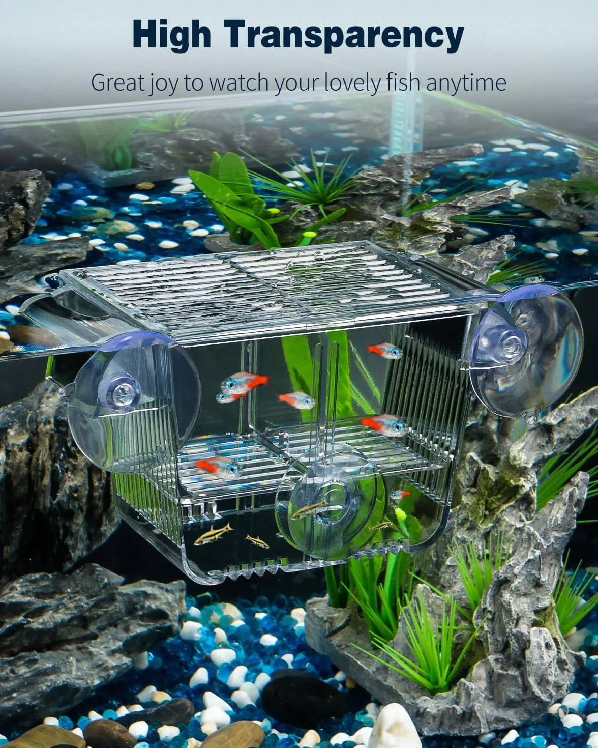 Pawfly Scatola di allevamento di pesci per acquario incubatrice per bambini con 6 ventose acrilica Gamberetti Betta piccola