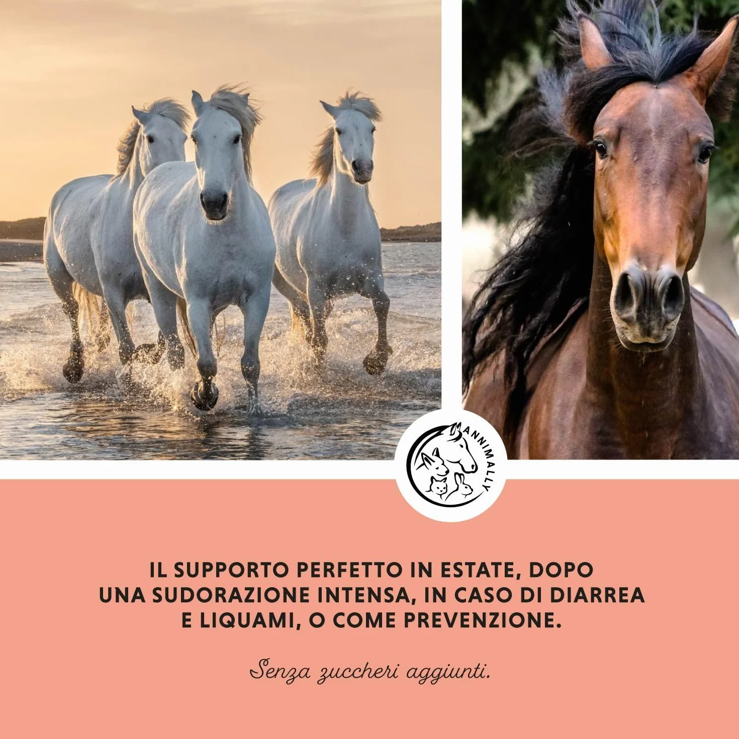Elettroliti Liquidi per Cavalli 1000ml con Sodio, Potassio, Calcio, Magnesio e Vitamina B - Integratore Senza Zuccheri
