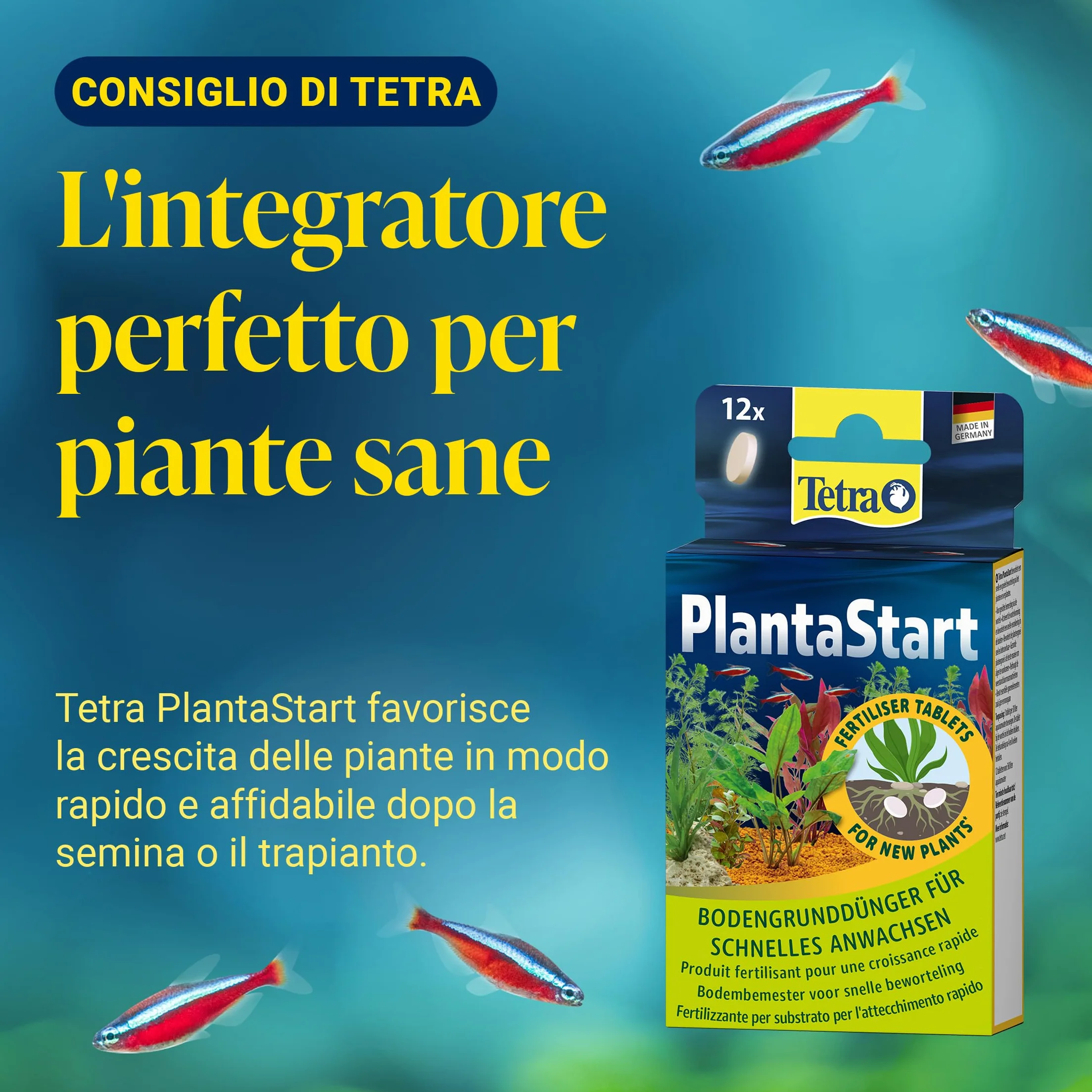 Tetra Active Substrate 6 L