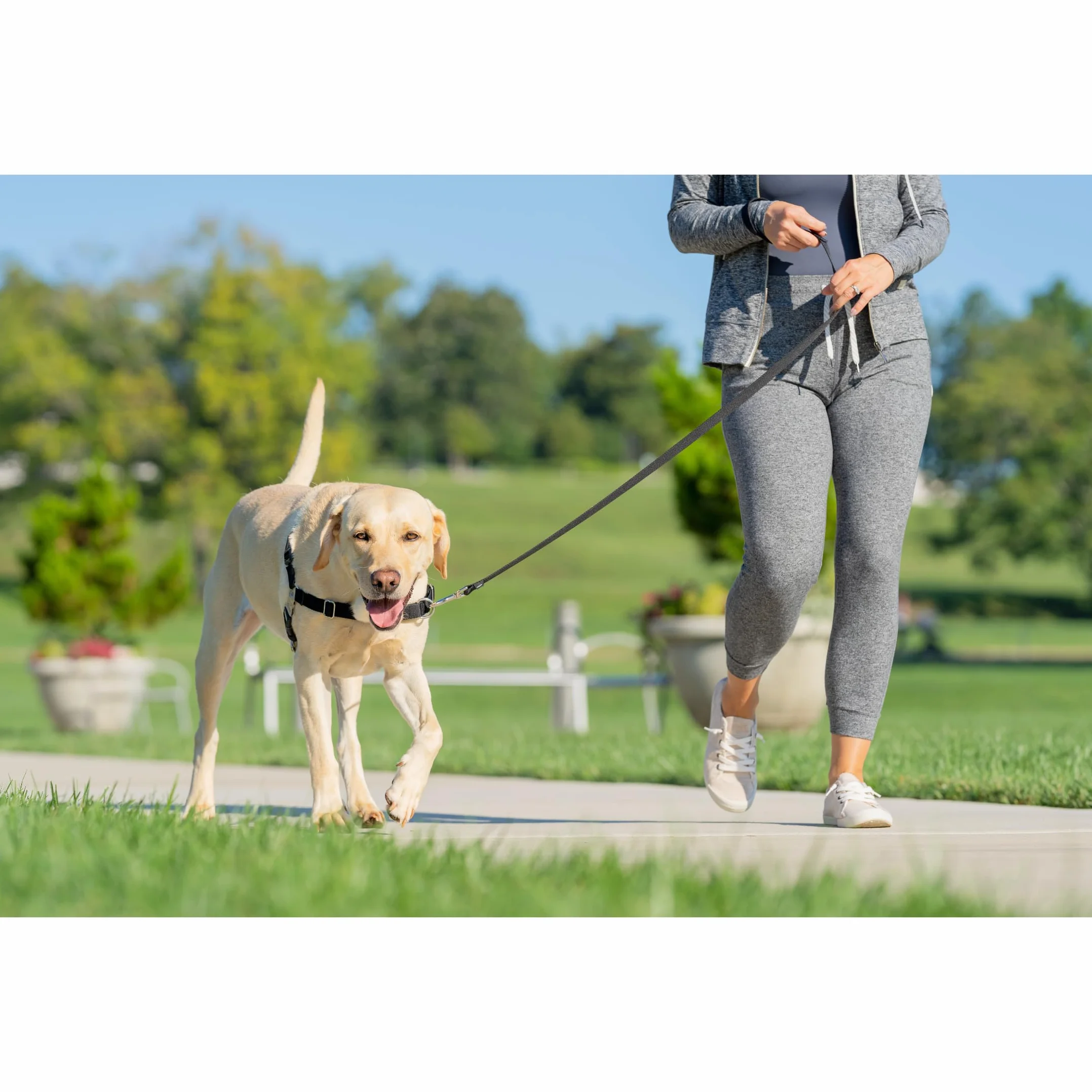 PetSafe Easy Walk - Pettorina per Cani Anti-Tiro, Nero, XL