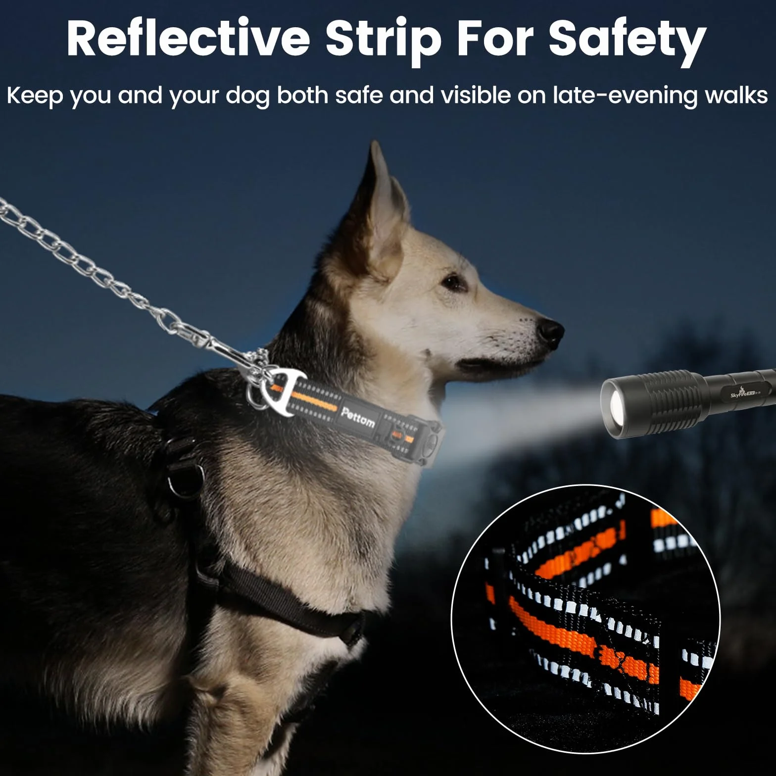 PETTOM Collare Semistrozzo Cane, Collare Cane Con Serratura di Sicurezza, Regolabile e Riflettente, Collare a Strozzo per Cani di Piccola, Media e Grande Taglia (S, Arancia)