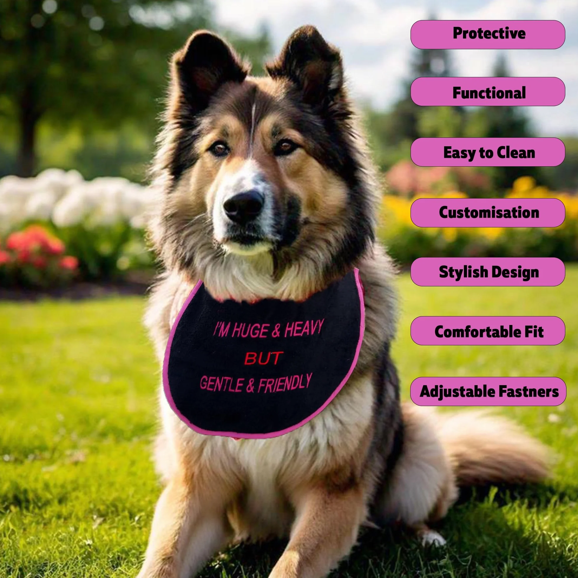 Pettorina personalizzata per cani San Bernardo impermeabile confortevole