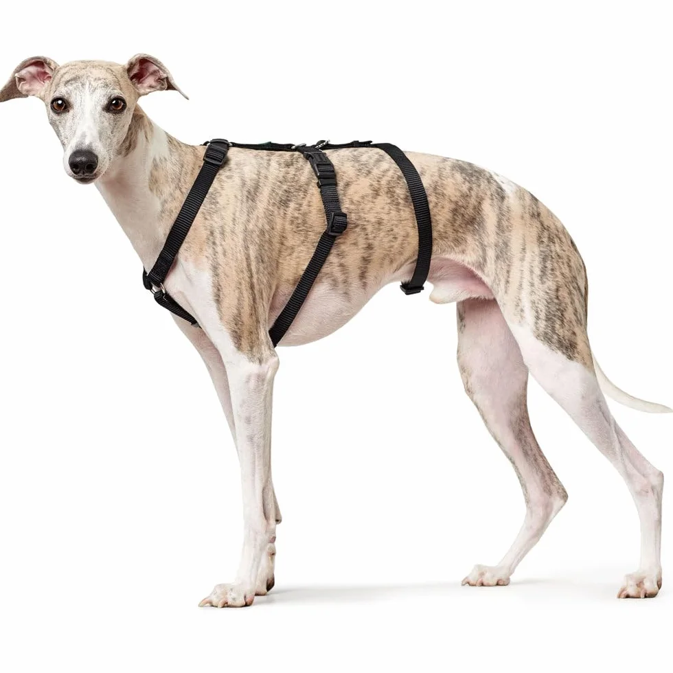 Hunter Vario Rapid Imbracatura anti-panico per cani in nylon aderente resistente agli strappi