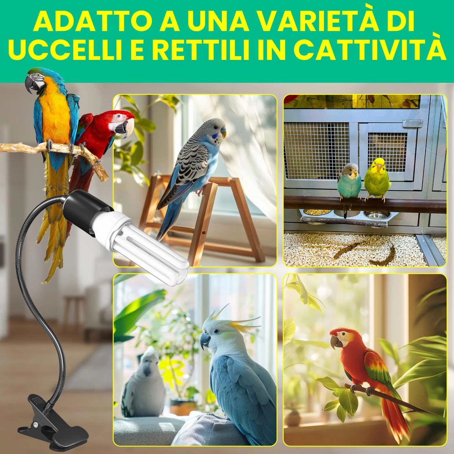 Lampada per Uccelli GlowUp Set Completo con Timer UVB E27 20W