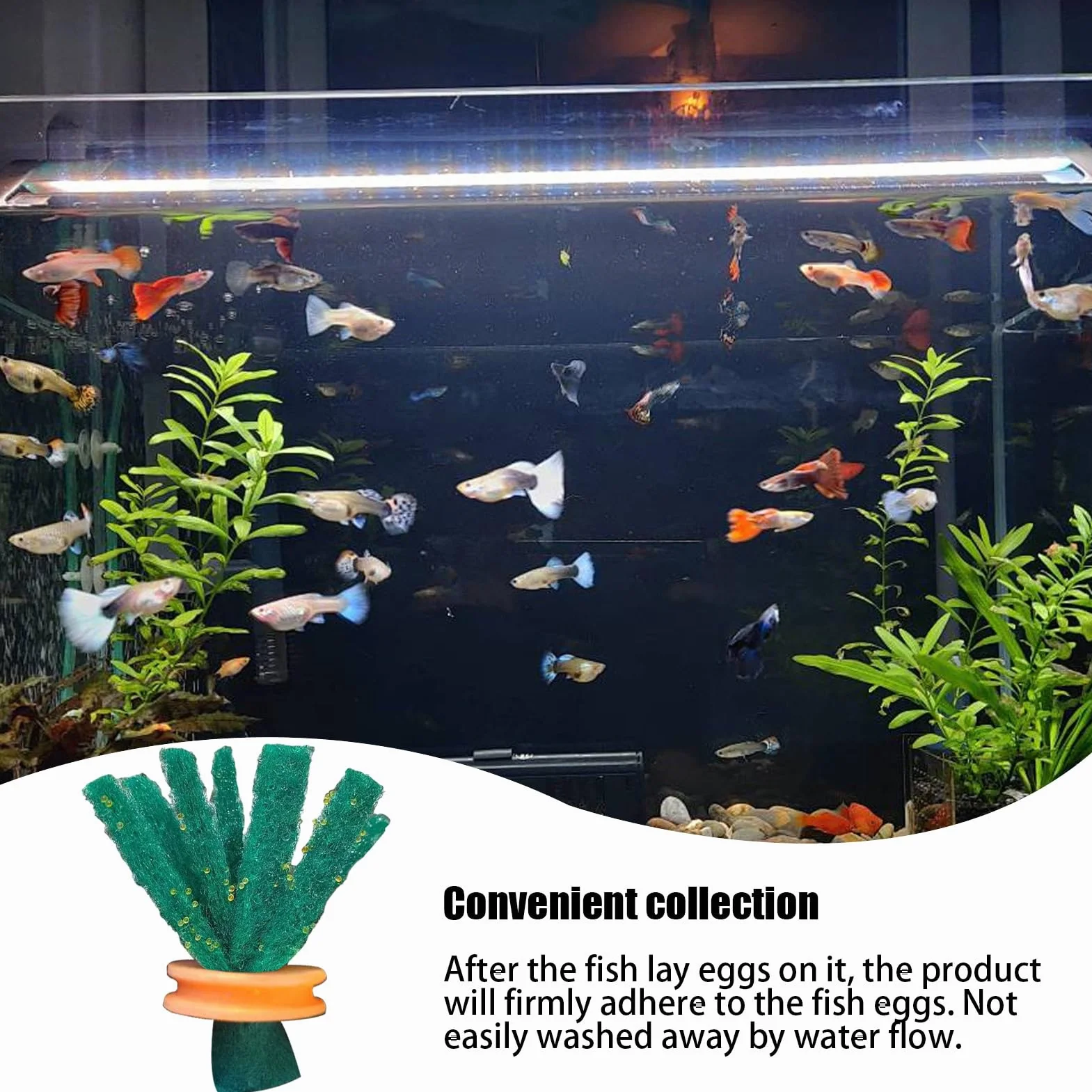 10 per la deposizione delle uova 'acquario – per allevamento di pesci | da allevamento | raccoglitore di uova per acquario fatto a mano | letto galleggiante sicuro per Medaka e