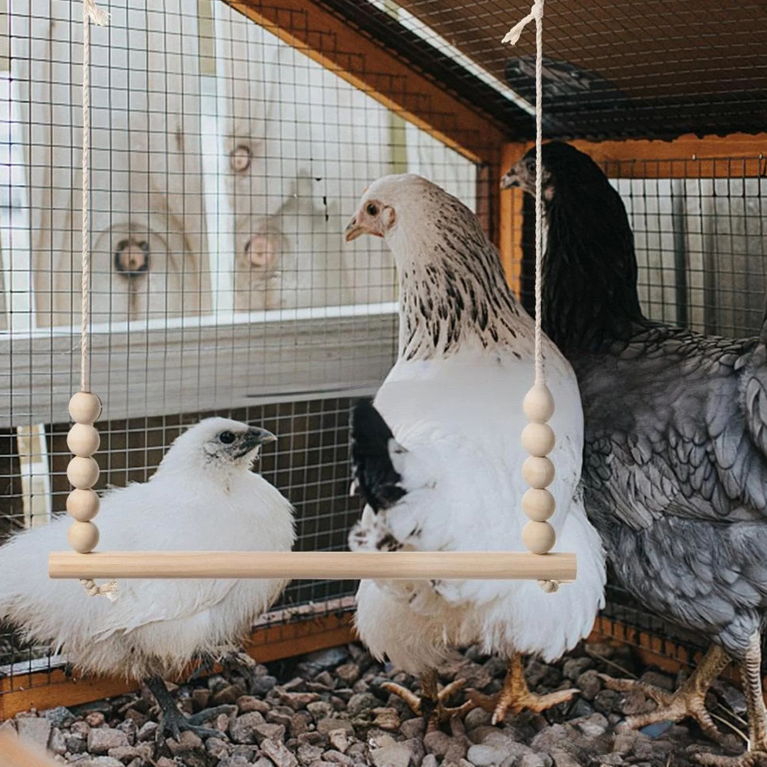 Altalena Per Galline Posatoio In Legno Naturale Stabile Interattivo Arricchimento Riposo Pappagalli