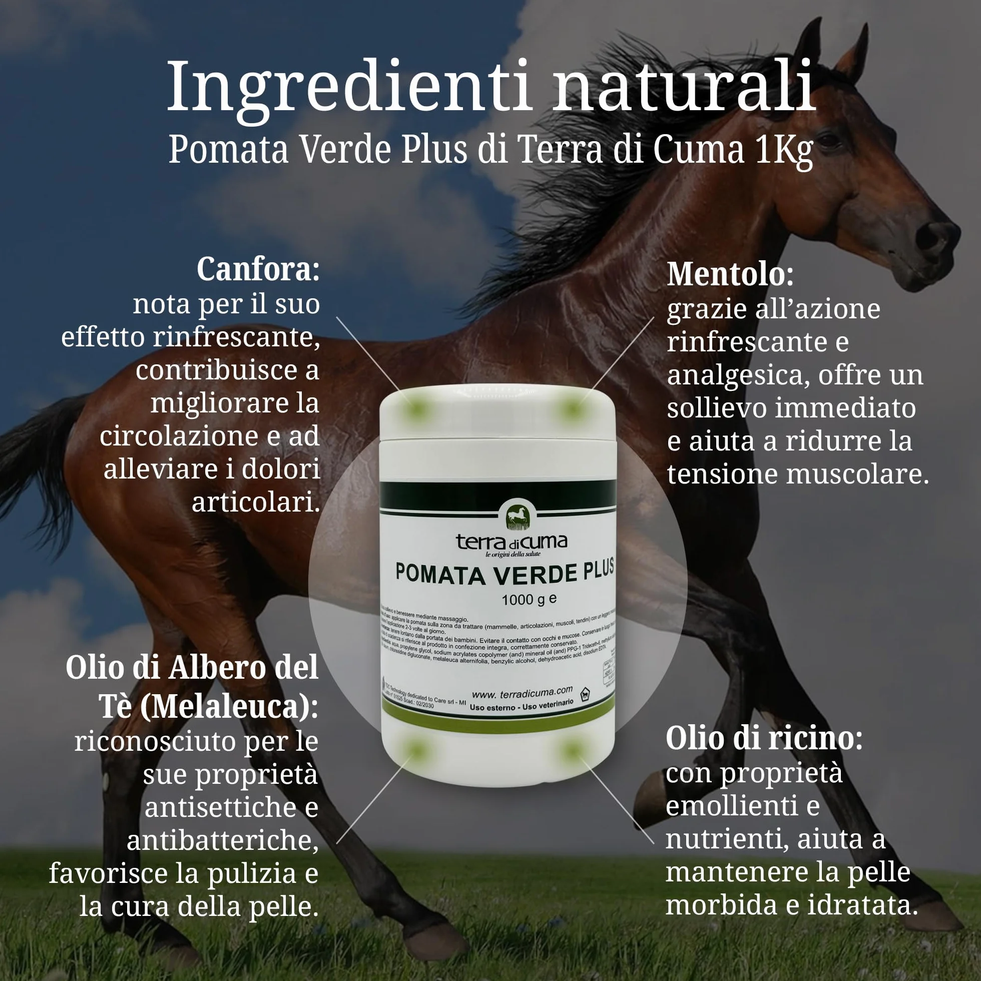 Terra di Cuma Pomata Verde Plus - 1 Kg