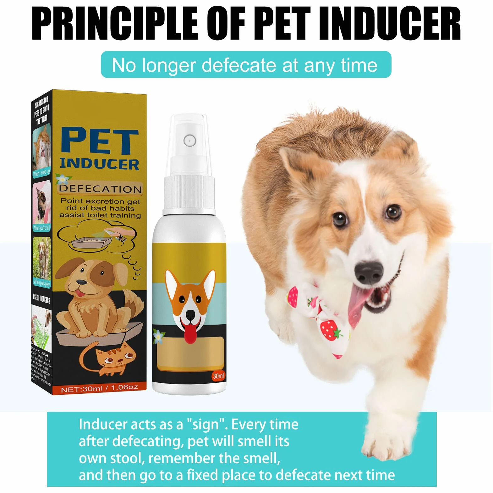 Tnfeeon Spray per Addestramento del Cane, Spray per Attrazione per Cani e Gatti Che Addestrano Il Vasino, Vasino per Animali dal Design Compatto da 30 Ml