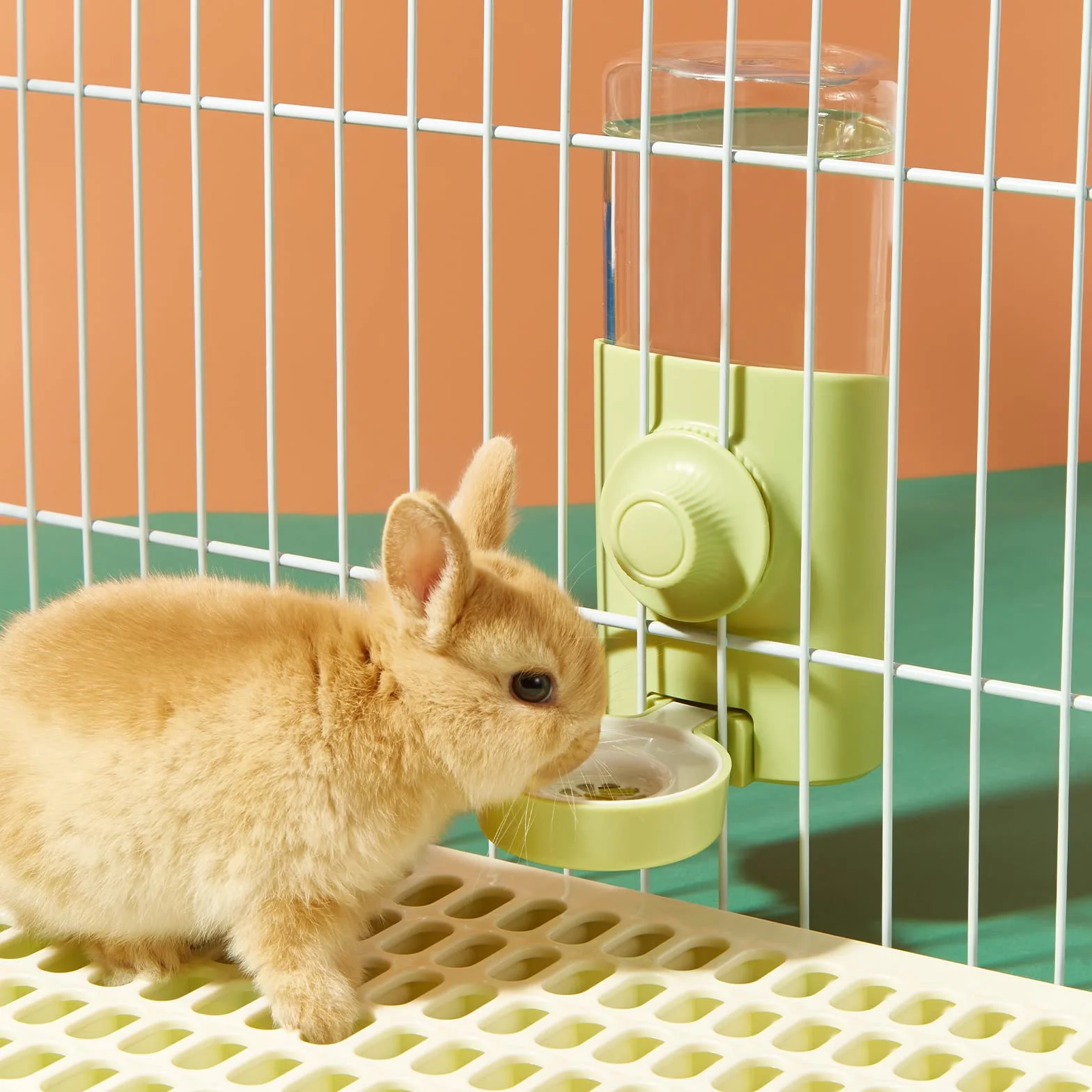 Borraccia Acqua per Piccoli Animali [Verde, 600ml] Gravità Automatica Acqua Bottiglia Conigli Porcellini D'india Criceto Furetti Chinchilla Gabbia Dispenser Acqua