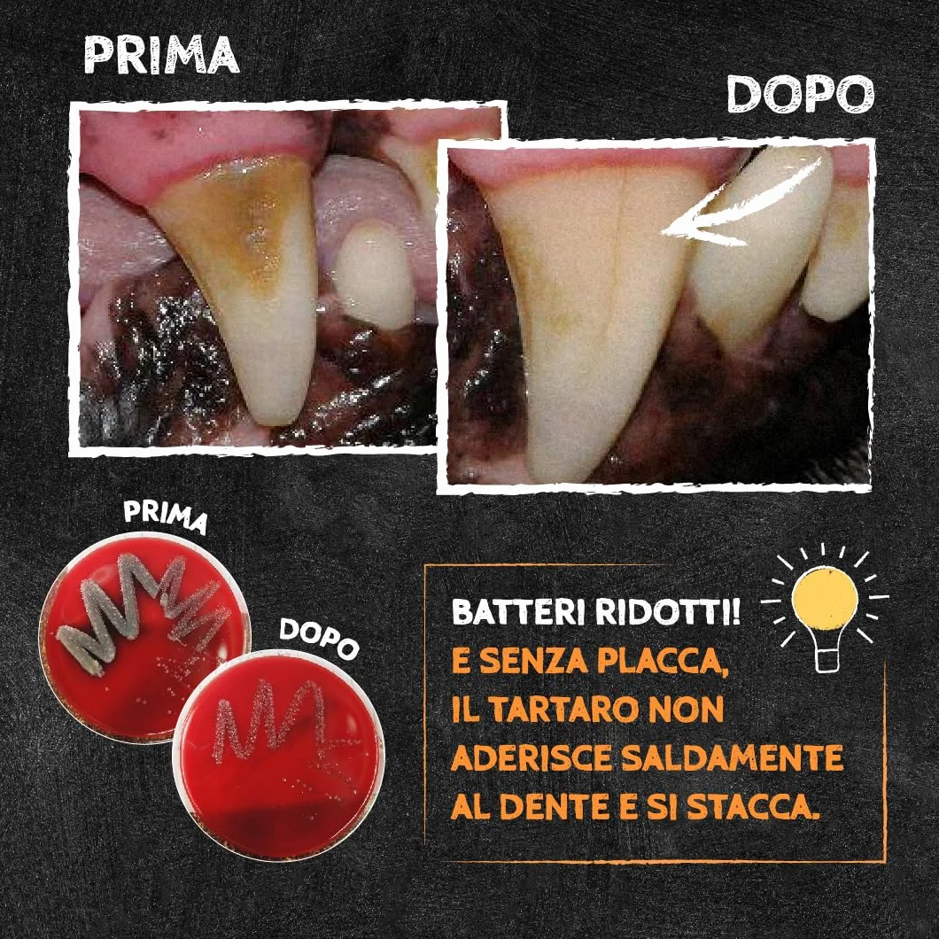 QCHEFS Dental Flakes per Cani - Snack per la Cura dei Denti - Rimuovere Il tartaro - per Chi soffre di allergie - Contro l'alito Cattivo e Le gengiviti - Antibatterico