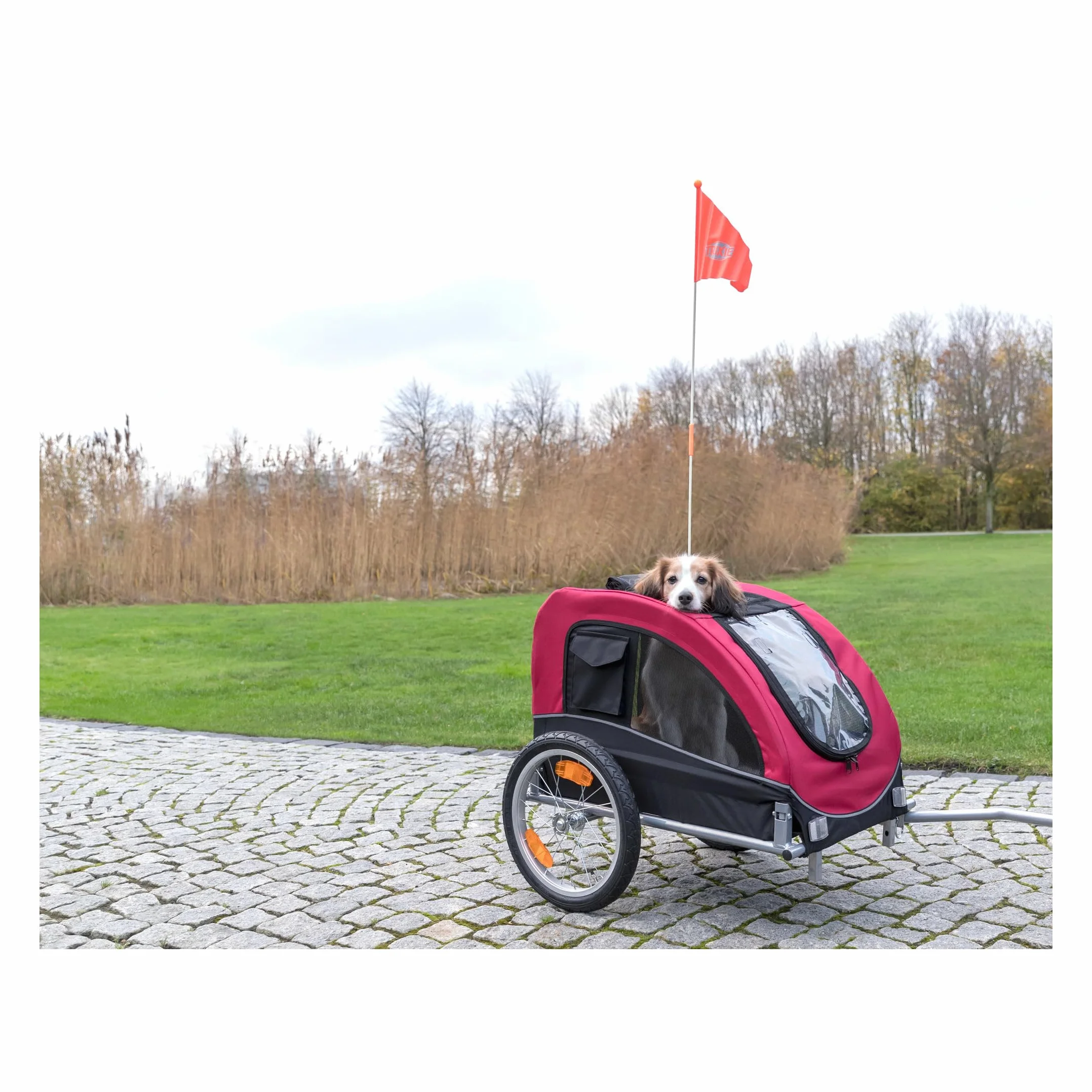 Rimorchio da Bicicletta per Cani