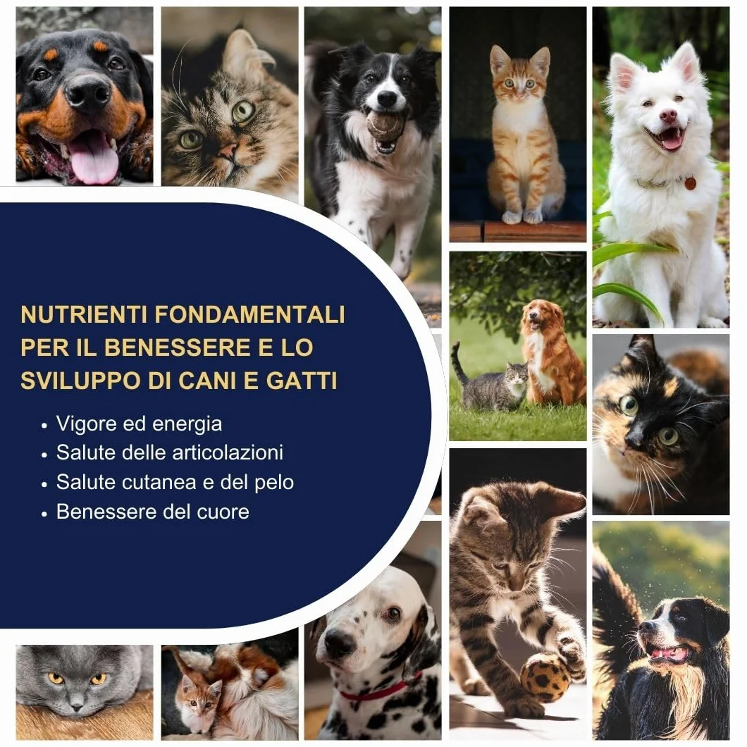 OMEGOR Pet Omega 3 per Cani e Gatti con EPA e DHA da Olio di Pesce Purificato - 60 Capsule di Omega3 IFOS Certificato per la Salute del Pelo e delle Articolazioni del tuo Pet
