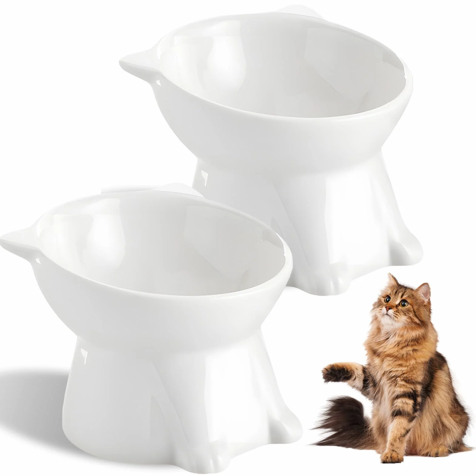 2 Pezzi Ciotole per Gatti Rialzate e Inclinate, Ciotola Acqua Gatto Inclinata di 15°,facile da Pulire,Base Stabile, Adatta a Gatti e Cani di Piccola Taglia(Bianco)