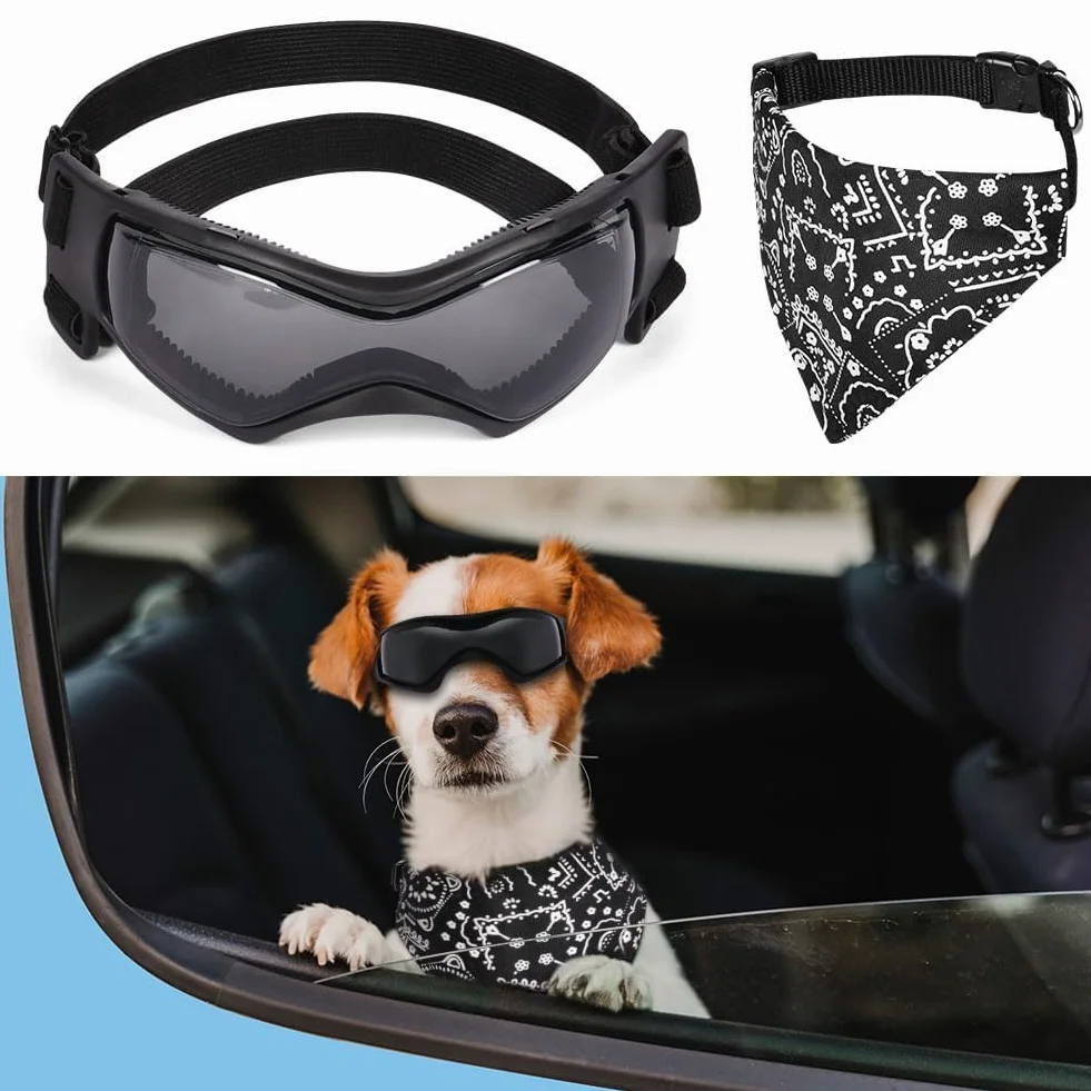 Occhiali per Animali Domestici, Occhiali da Sole per Cani di Piccola Taglia, Antivento Occhiali per Cani con Cinturino Regolabile, Anti UV, Impermeabili, per Cani di Taglia Piccola/Media (S)