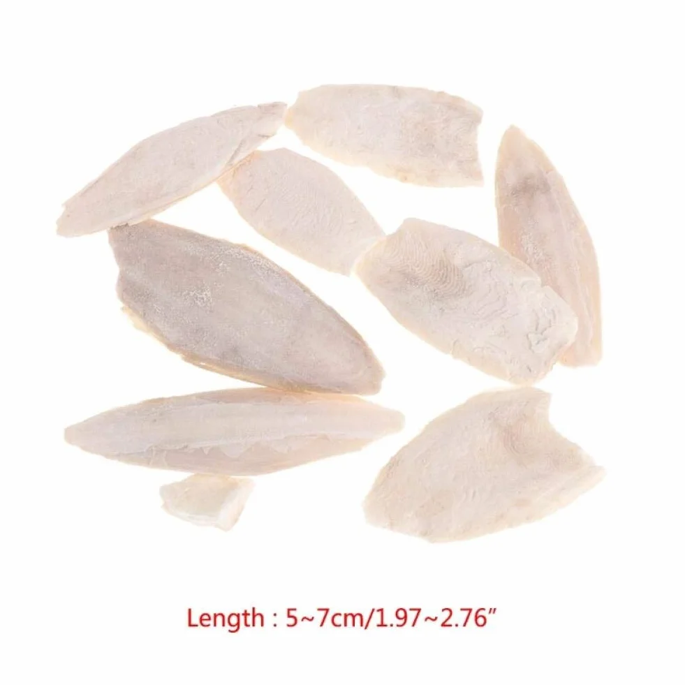 Naturali Osso di Seppia Pappagalli Giocattoli Masticazione Uccelli Gabbia Rettili Tartarughe Lumache