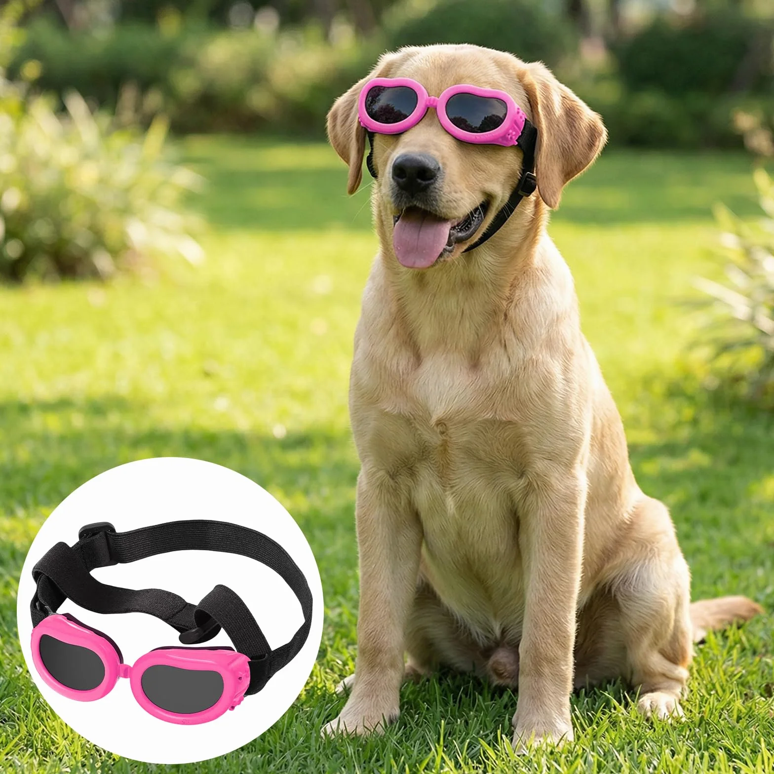 Occhiali da Sole per Cani Piccola Protezione UV Impermeabili Antivento Antiappannamento Rosa