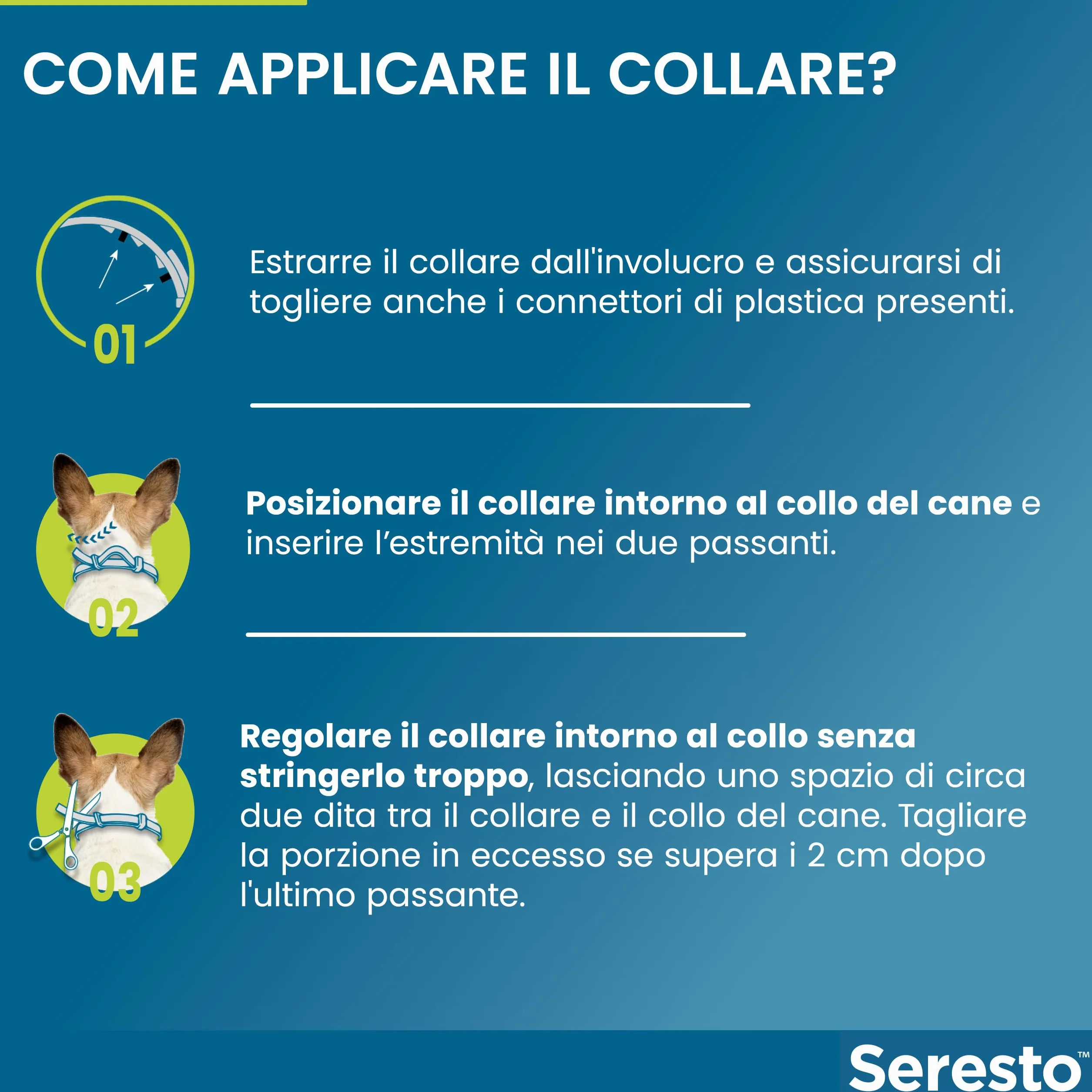 Seresto collare antiparassitario per cani oltre 8 kg elimina pulci zecche pidocchi protezione leishmaniosi 8 mesi