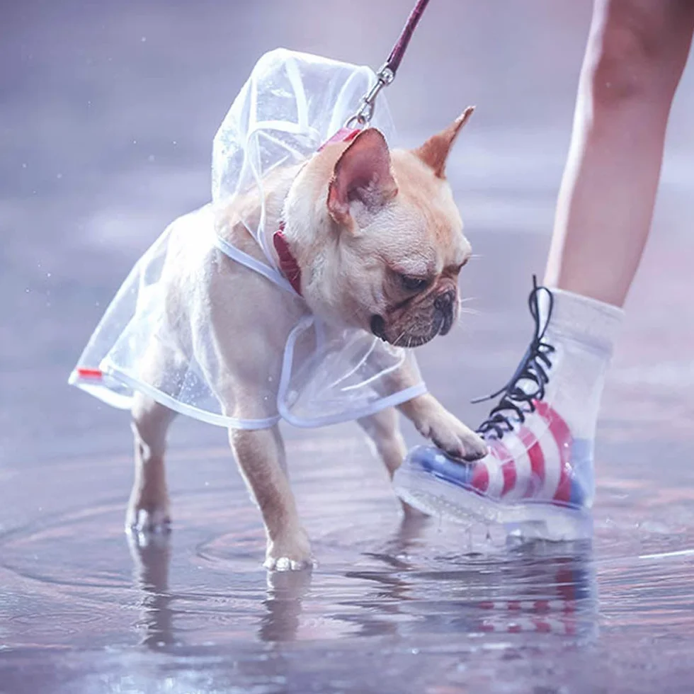 Cappottino catarifrangente per Cani Gatto con cappuccio, Regolabile PVC trasparente poncho impermeabile ultraleggero, Per cani di piccola taglia（bianca, L）