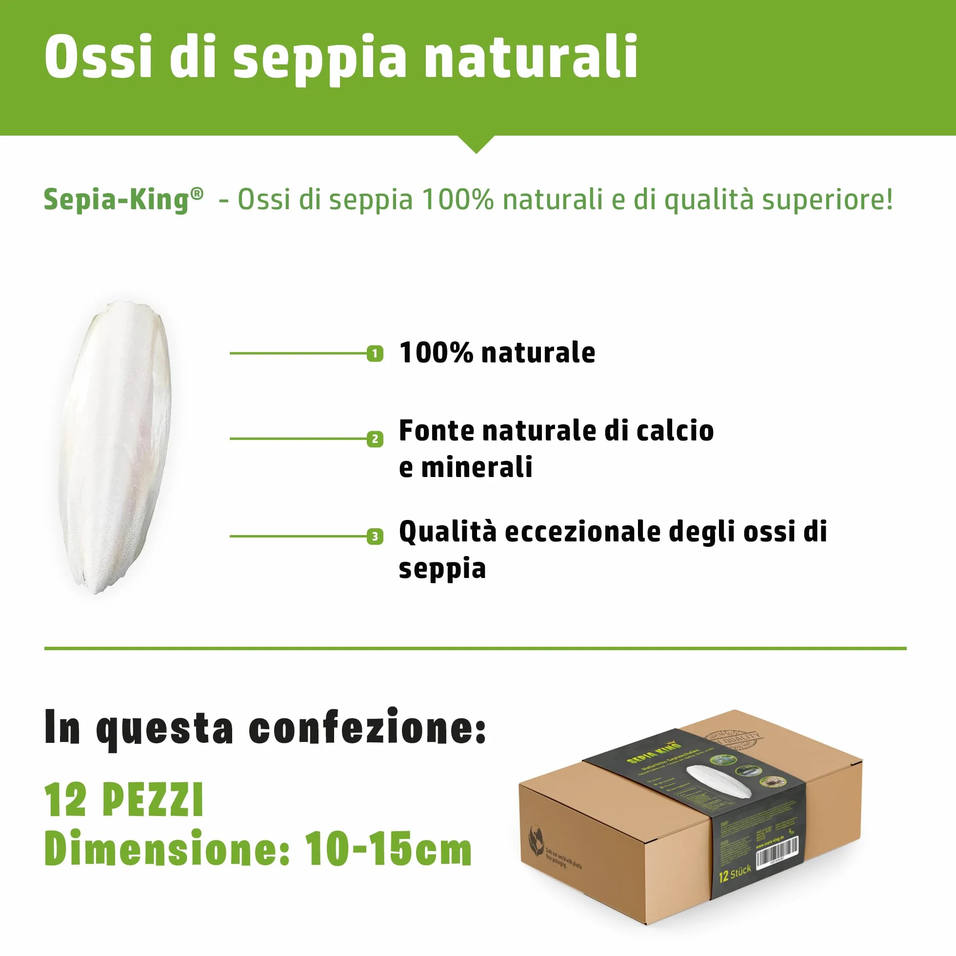 Sepia King 12 Pezzi Ossi di Seppia 100% Naturale 10-15cm Calcio per Rettili Uccelli Invertebrati