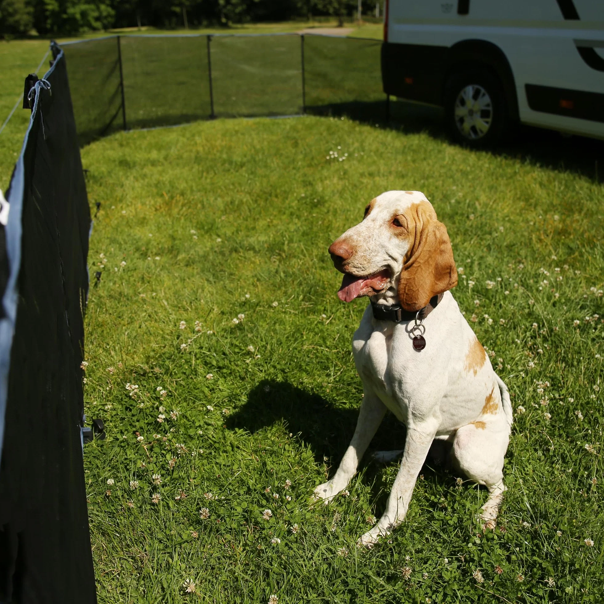 your GEAR Larino 400 Recinto mobile per cani da 4 m di larghezza per campeggio e giardino, estensibile all'infinito