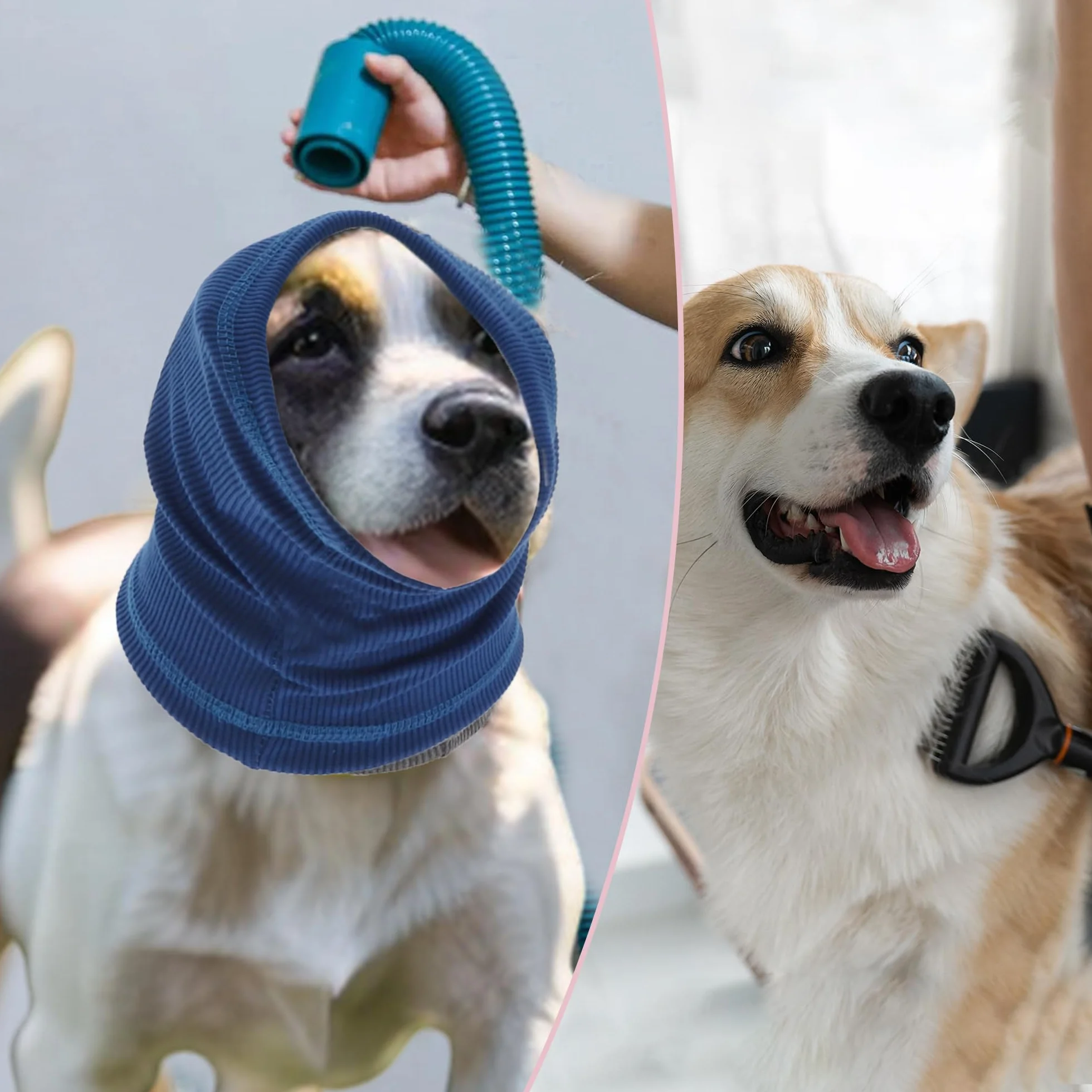 Cuffie Antirumore per Cani Fascia Protettiva Orecchie Blu L