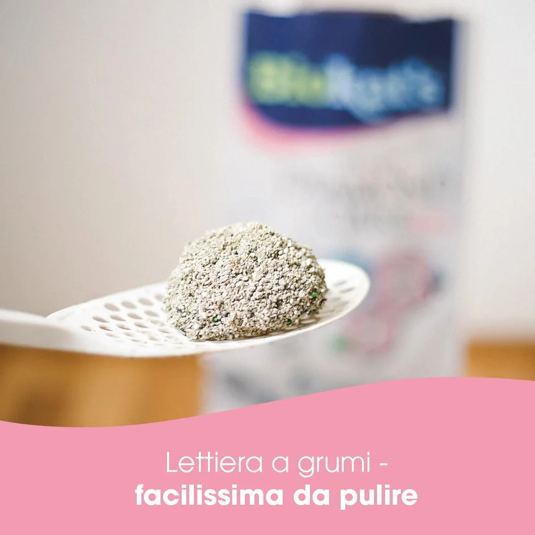Biokat's Diamond Care Fresh Lettiera per gatti a grana fine con carbone attivo e aloe vera, 1 x 10 L