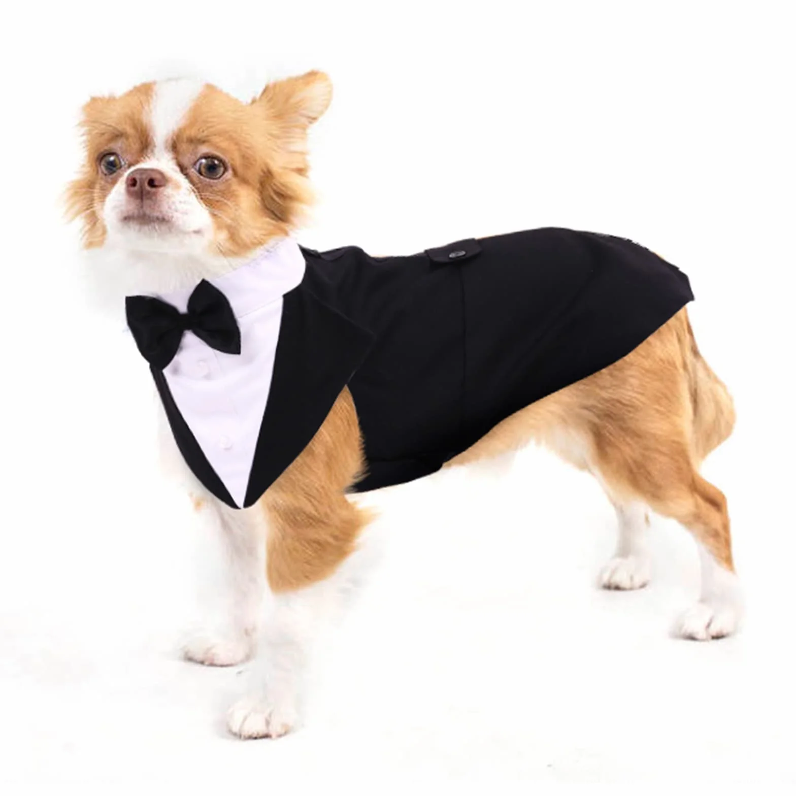 Smoking per cani, smoking per cani di piccola taglia, abito da sposa nero S