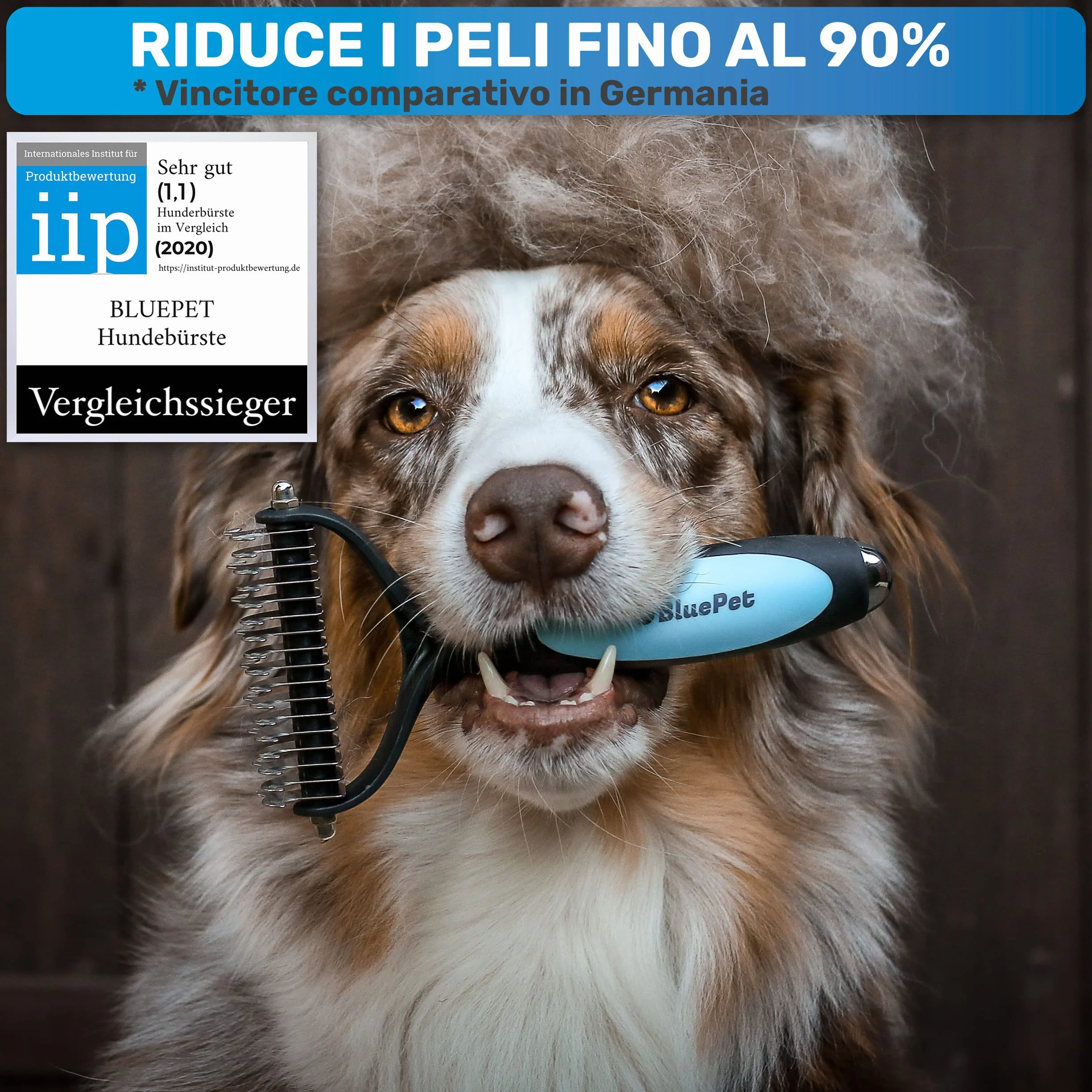 BluePet Spazzola per Cani e Gatto a Pelo Lungo e Medio, Pettine Cardatore Sottopelo Doppia Faccia