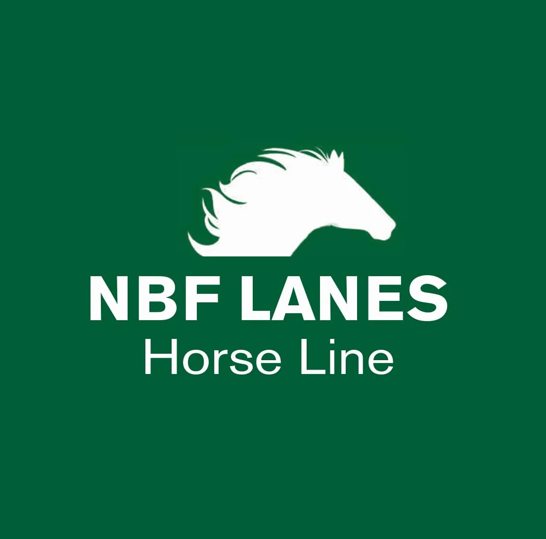 NBF Lanes | Hydrafit Horse - Reintegro Elettroliti per Cavalli con L-Carnitina e Carboidrati a Rilascio Rapido