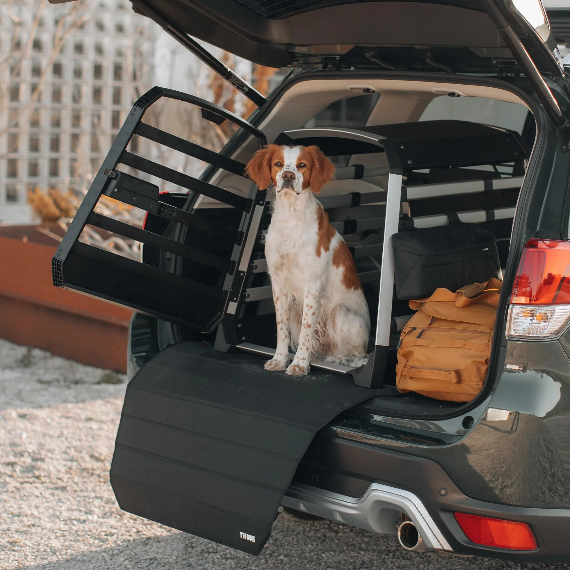 Thule Allax Cani Trasportino Black/aluminum, XL
