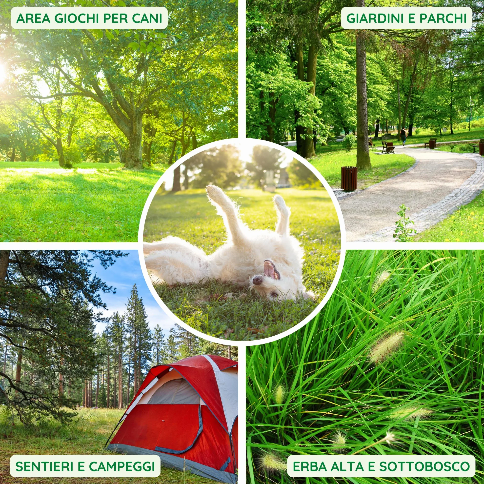 Gardemia Olio di Neem per Cani Gatti Spray 750ml Sgradito a Zecche Pulci Zanzare Insetti Azione Naturale Effetto Barriera abbinabile a Repellente Antipulci Antiparassitario Aroma Gradevole