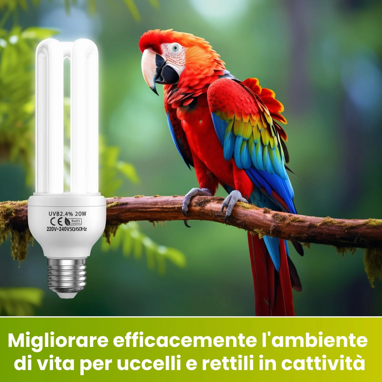 GlowUp UVB 2.4 Lampadina per uccelli 20W E27 UVA UVB pappagalli rettili