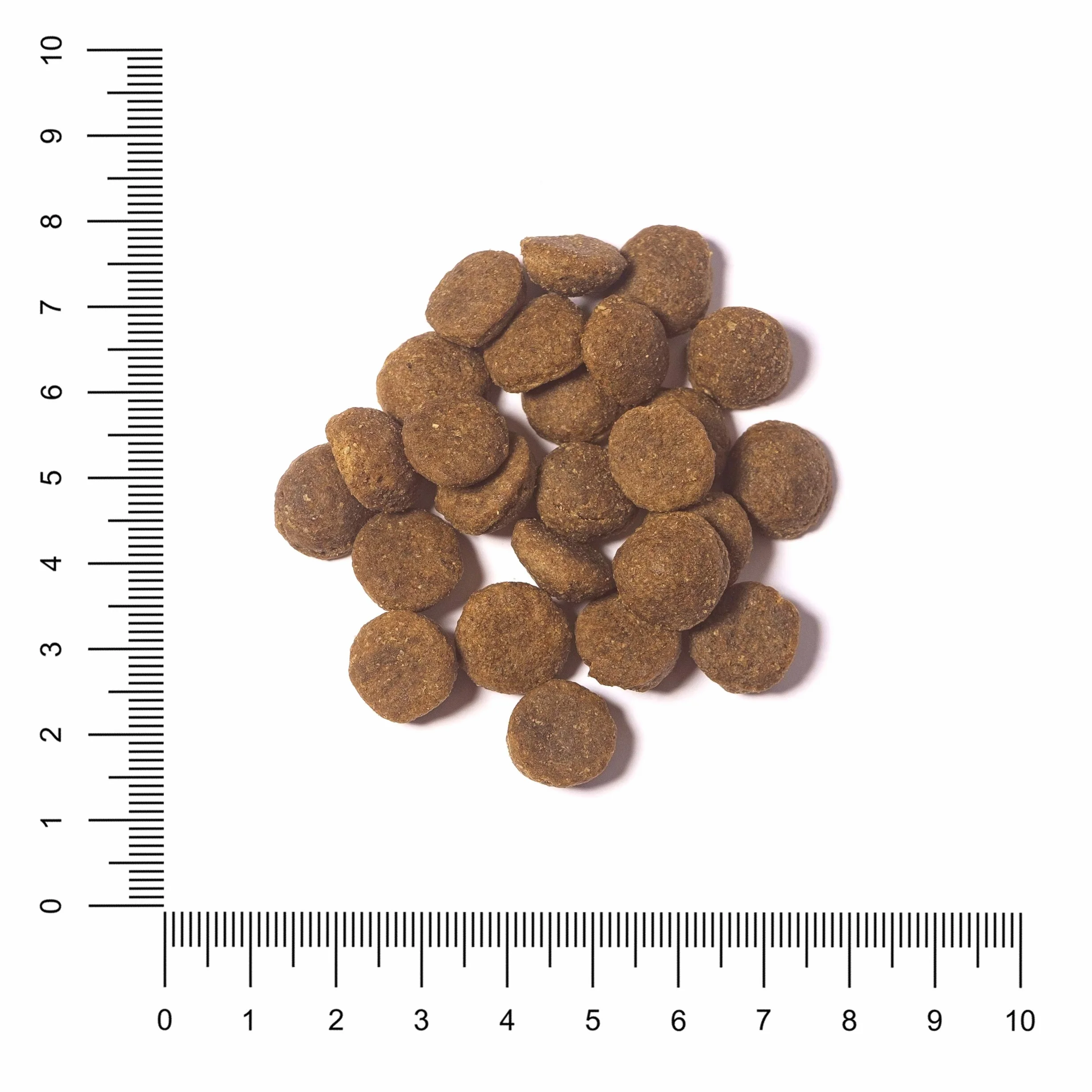 The Hunger of the Wolf Cibo secco per cani adulti senza cereali salmone e patate 14 kg