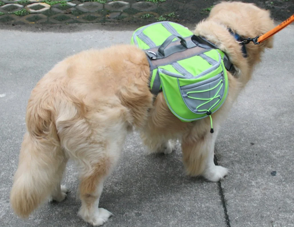 Xiaoyu Zaino per cani, porta bretelle a sella regolabile, per il viaggio campeggio trekking, verde, L