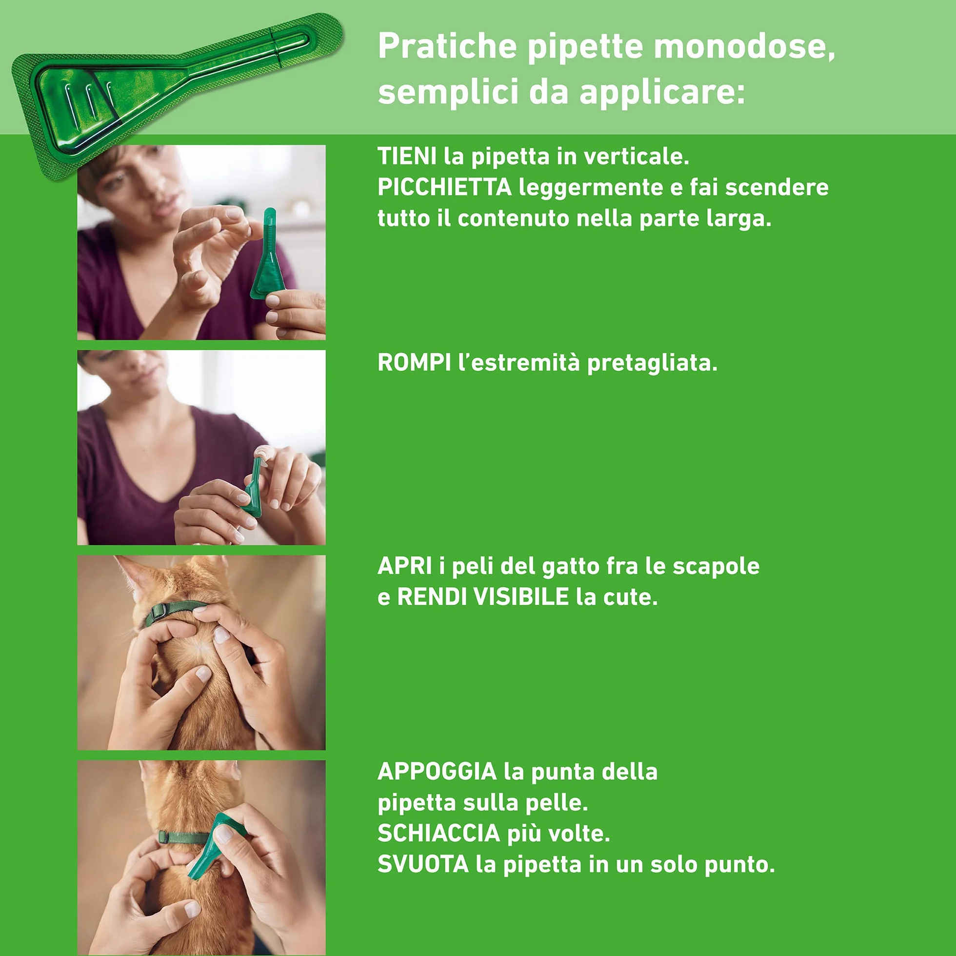 FRONTLINE Combo 6 Pipette Antiparassitario per Gatti Lunga Durata Protegge da Pulci Zecche Uova Larve 0.5 ml