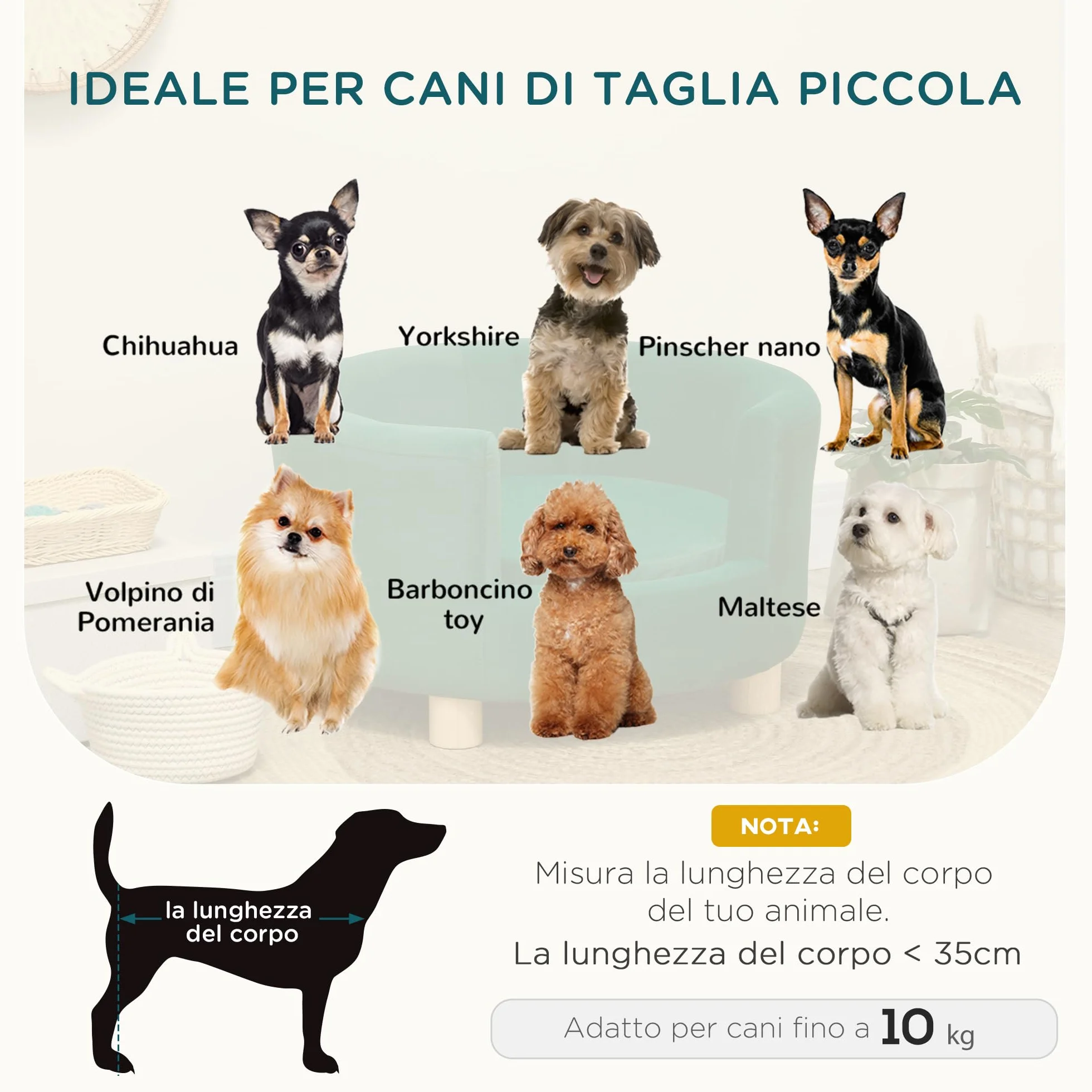 PawHut Divano per Cani Imbottito con Schienale e Cuscino Rimovibile, Cuccia per Gatto da Interno, 65x64x37cm, Verde
